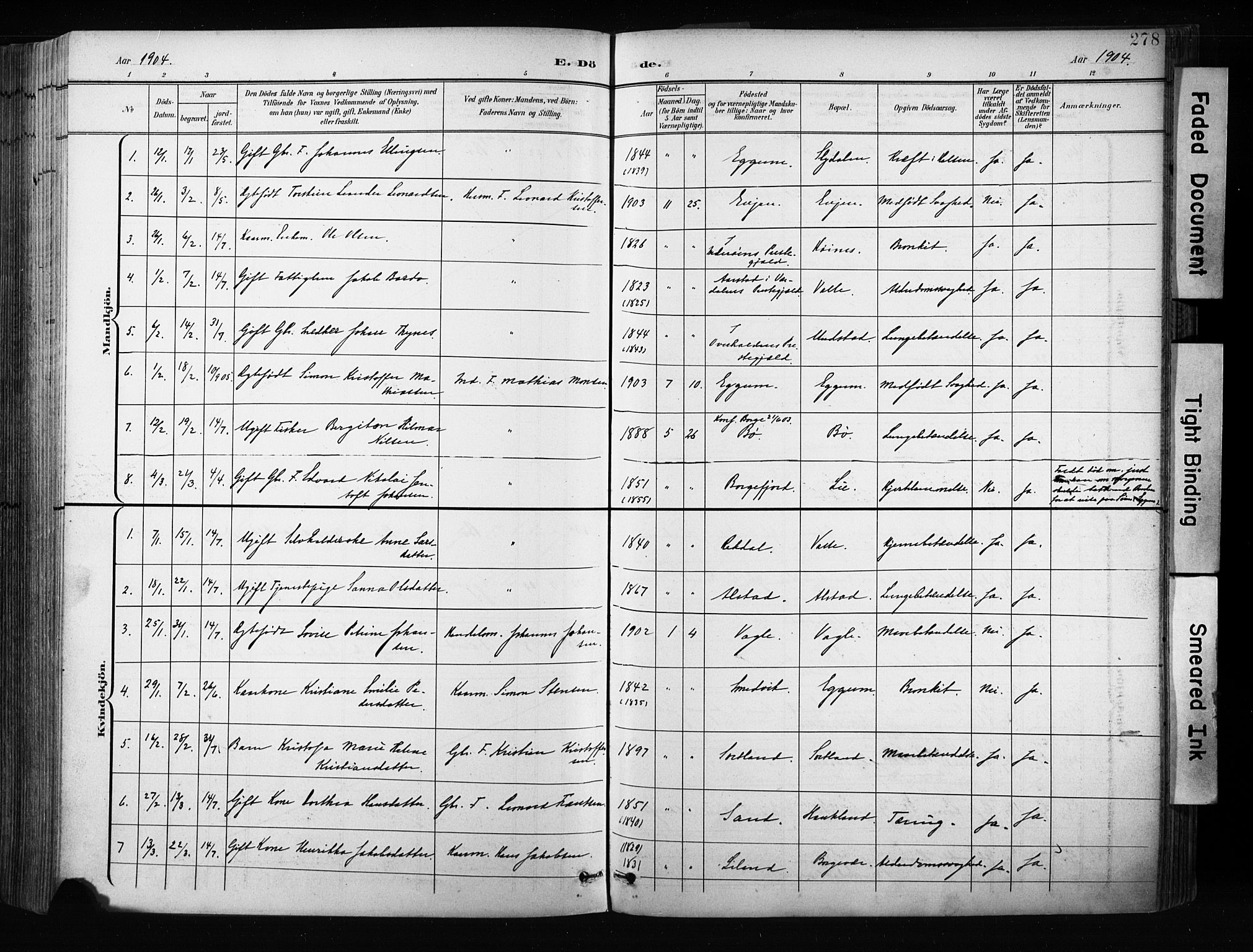 Ministerialprotokoller, klokkerbøker og fødselsregistre - Nordland, AV/SAT-A-1459/880/L1134: Parish register (official) no. 880A08, 1899-1908, p. 278