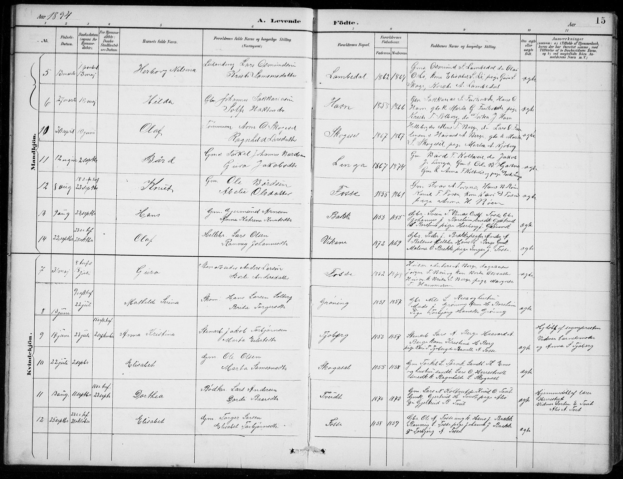 Strandebarm sokneprestembete, AV/SAB-A-78401/H/Hab: Parish register (copy) no. B  1, 1891-1914, p. 15