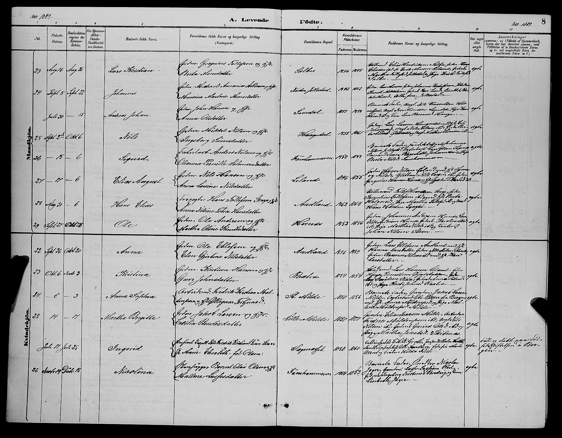 Fana Sokneprestembete, AV/SAB-A-75101/H/Hab/Haba/L0002: Parish register (copy) no. A 2, 1889-1895, p. 8