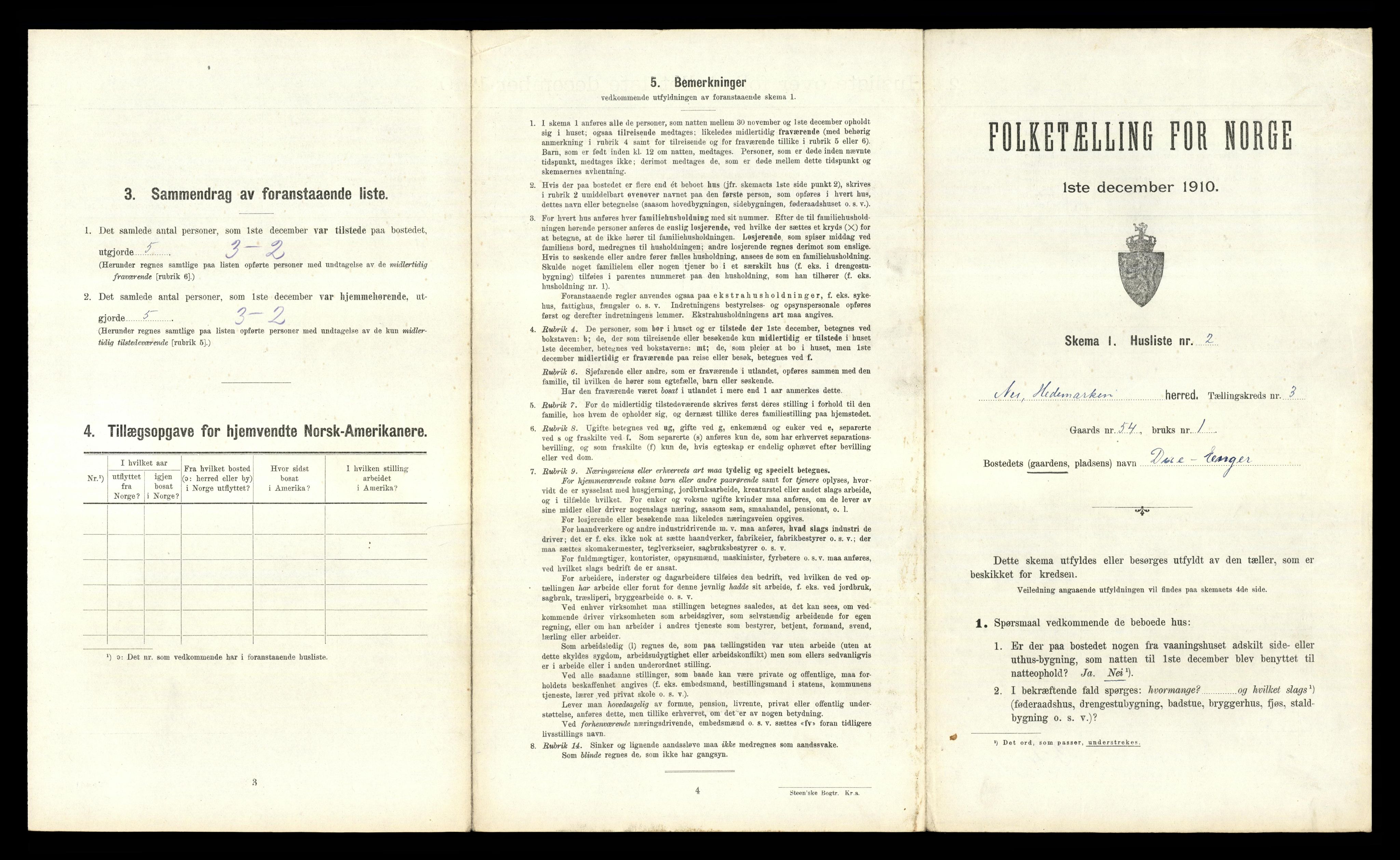 RA, 1910 census for Nes, 1910, p. 503