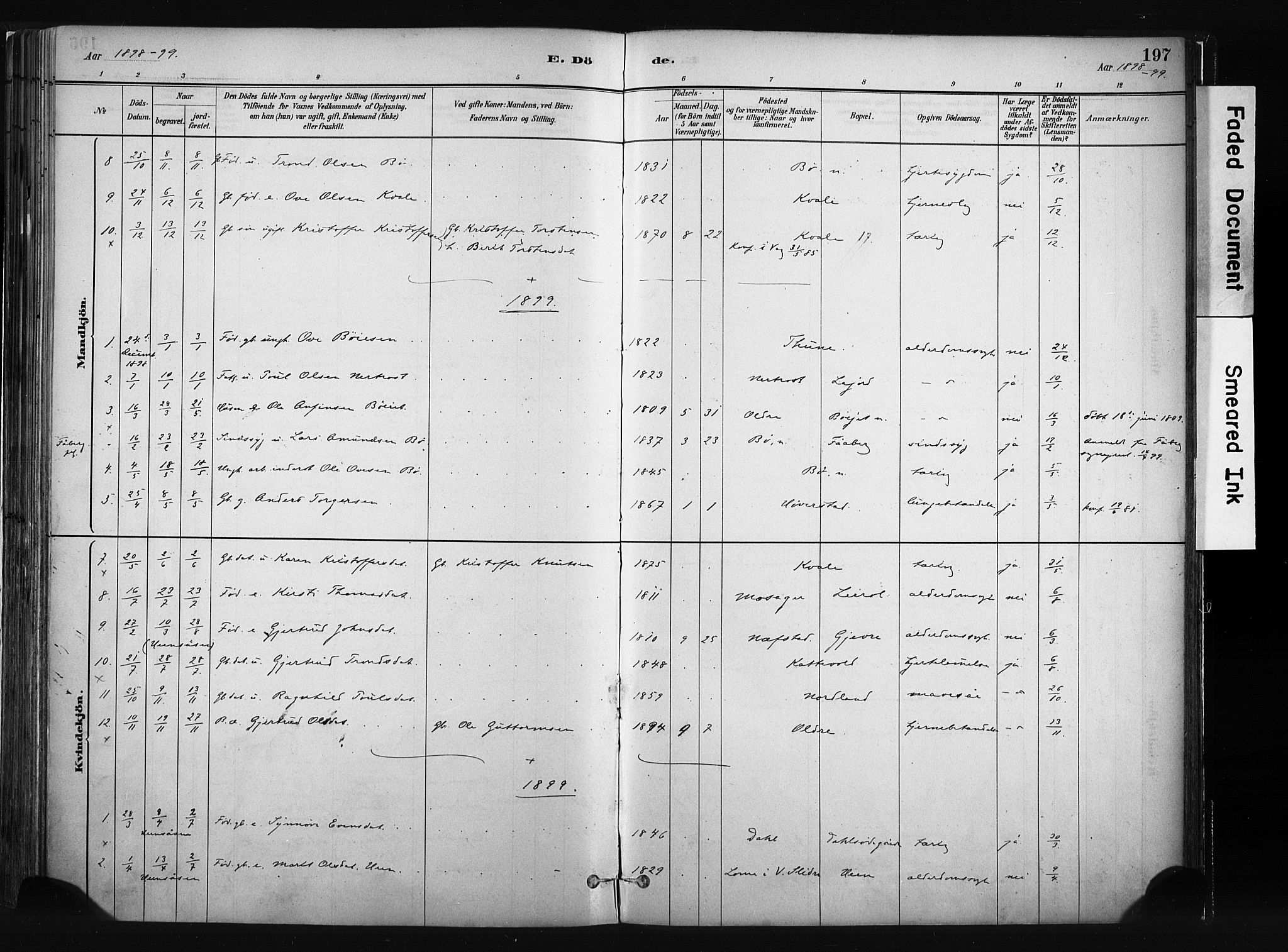 Vang prestekontor, Valdres, AV/SAH-PREST-140/H/Ha/L0008: Parish register (official) no. 8, 1882-1910, p. 197