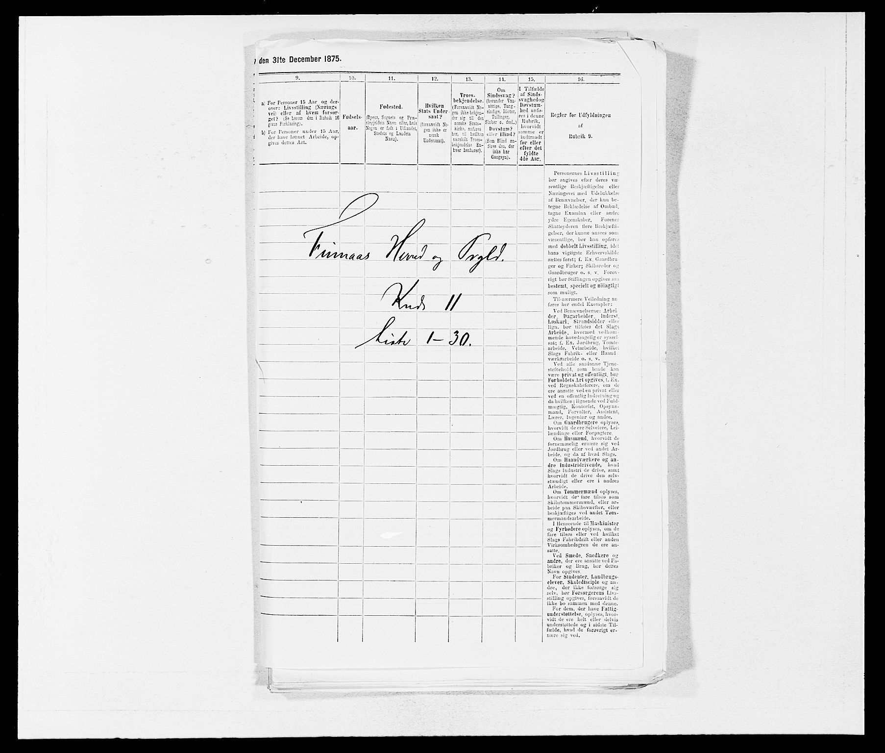 SAB, 1875 census for 1218P Finnås, 1875, p. 1295