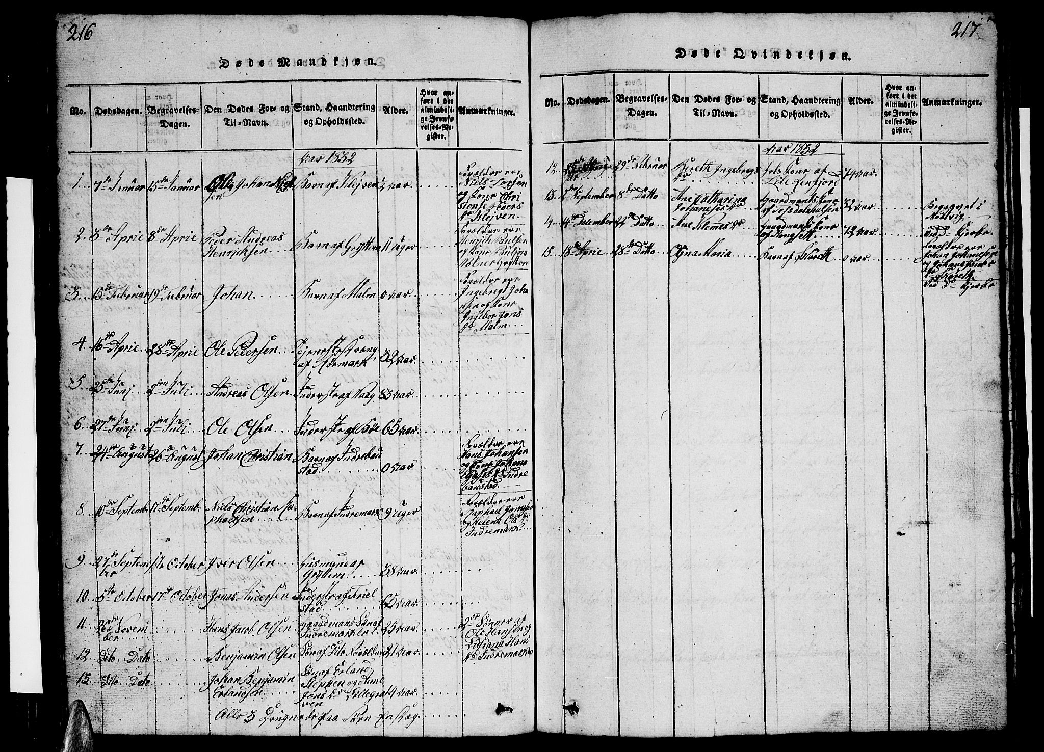 Ministerialprotokoller, klokkerbøker og fødselsregistre - Nordland, SAT/A-1459/812/L0186: Parish register (copy) no. 812C04, 1820-1849, p. 216-217