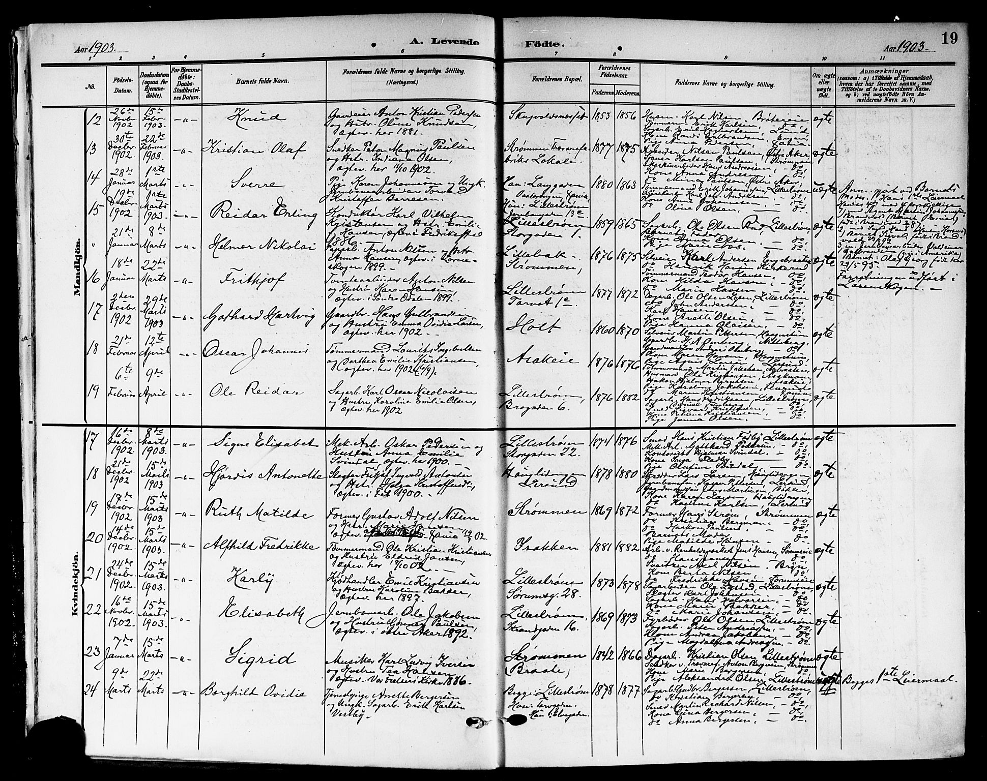 Skedsmo prestekontor Kirkebøker, AV/SAO-A-10033a/G/Ga/L0005b: Parish register (copy) no. I 5B, 1902-1911, p. 19