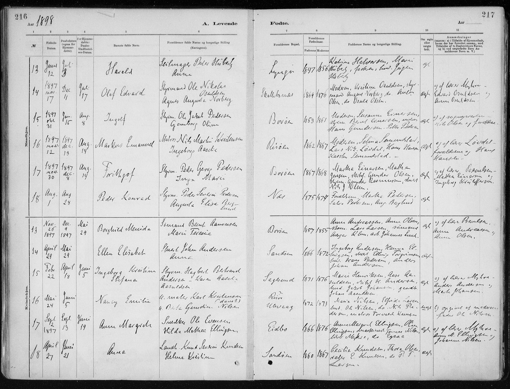 Dypvåg sokneprestkontor, SAK/1111-0007/F/Fa/Faa/L0008: Parish register (official) no. A 8, 1885-1906, p. 216-217