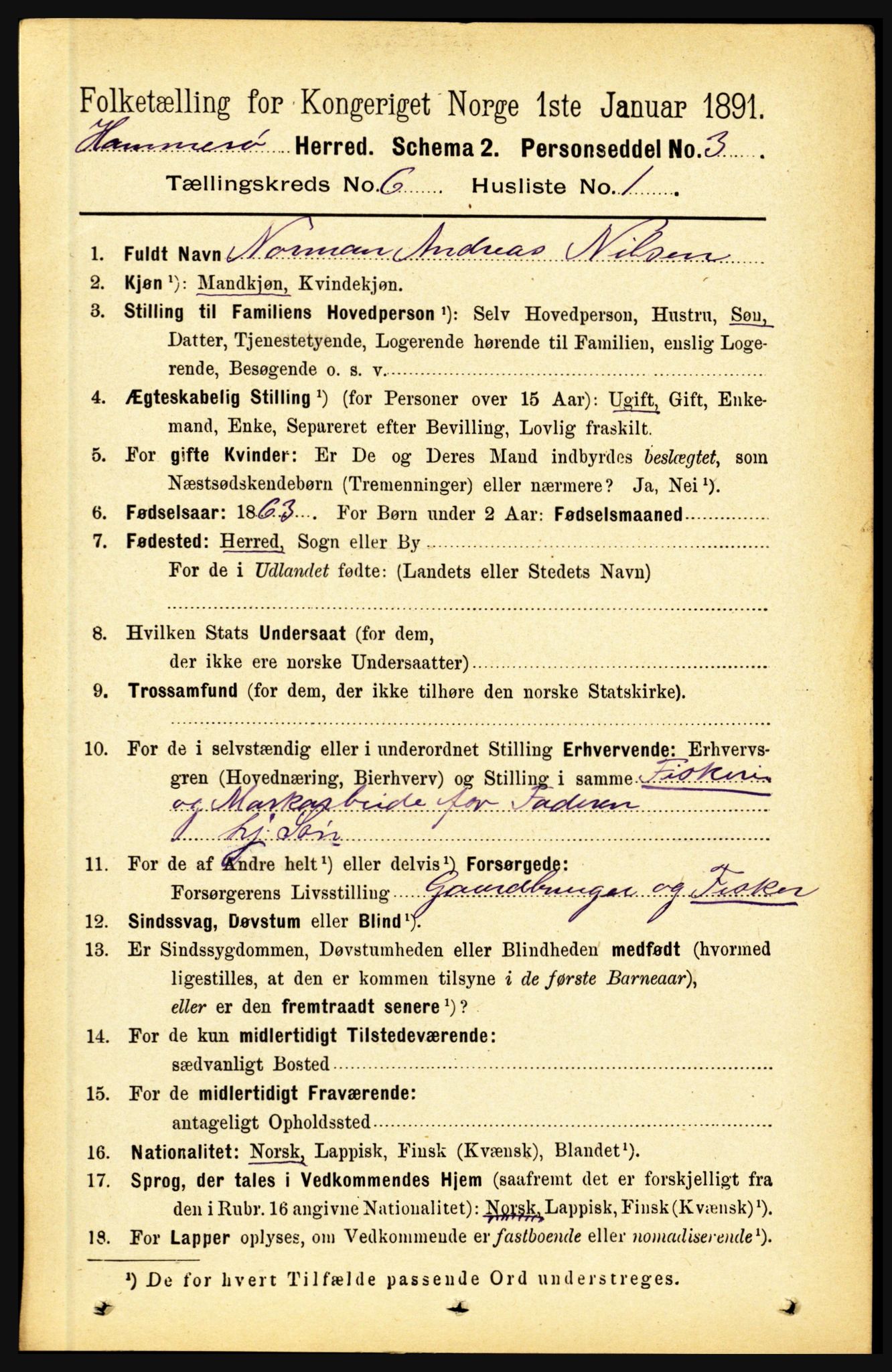 RA, 1891 census for 1849 Hamarøy, 1891, p. 3017