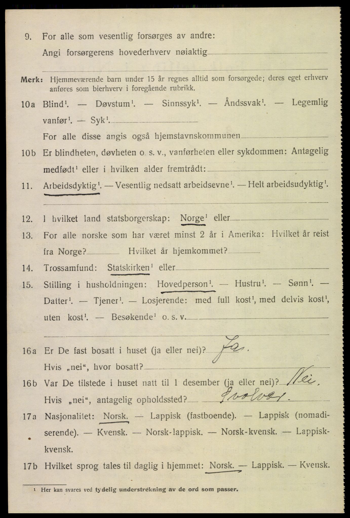 SAT, 1920 census for Borge, 1920, p. 8028