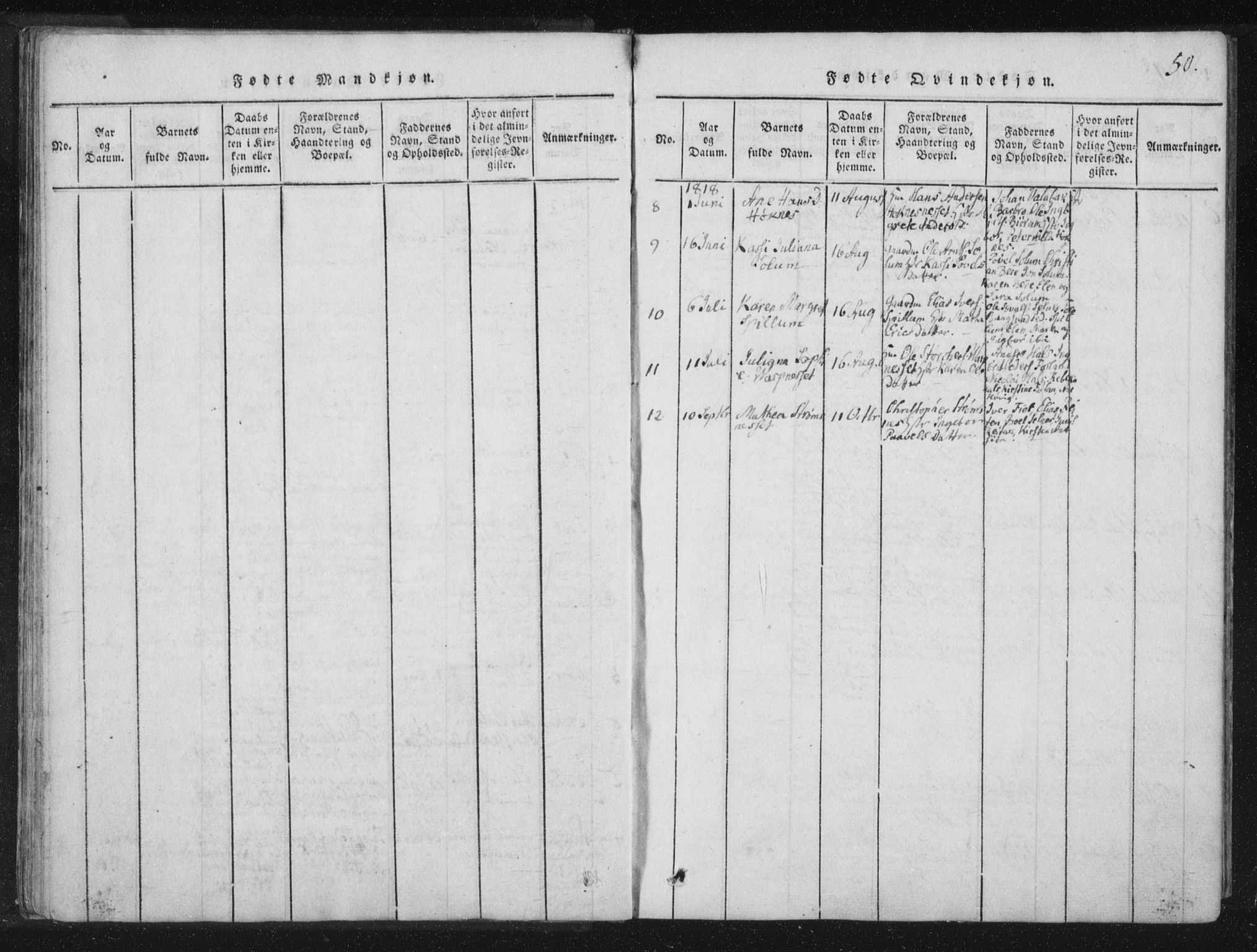 Ministerialprotokoller, klokkerbøker og fødselsregistre - Nord-Trøndelag, SAT/A-1458/773/L0609: Parish register (official) no. 773A03 /4, 1815-1818, p. 50