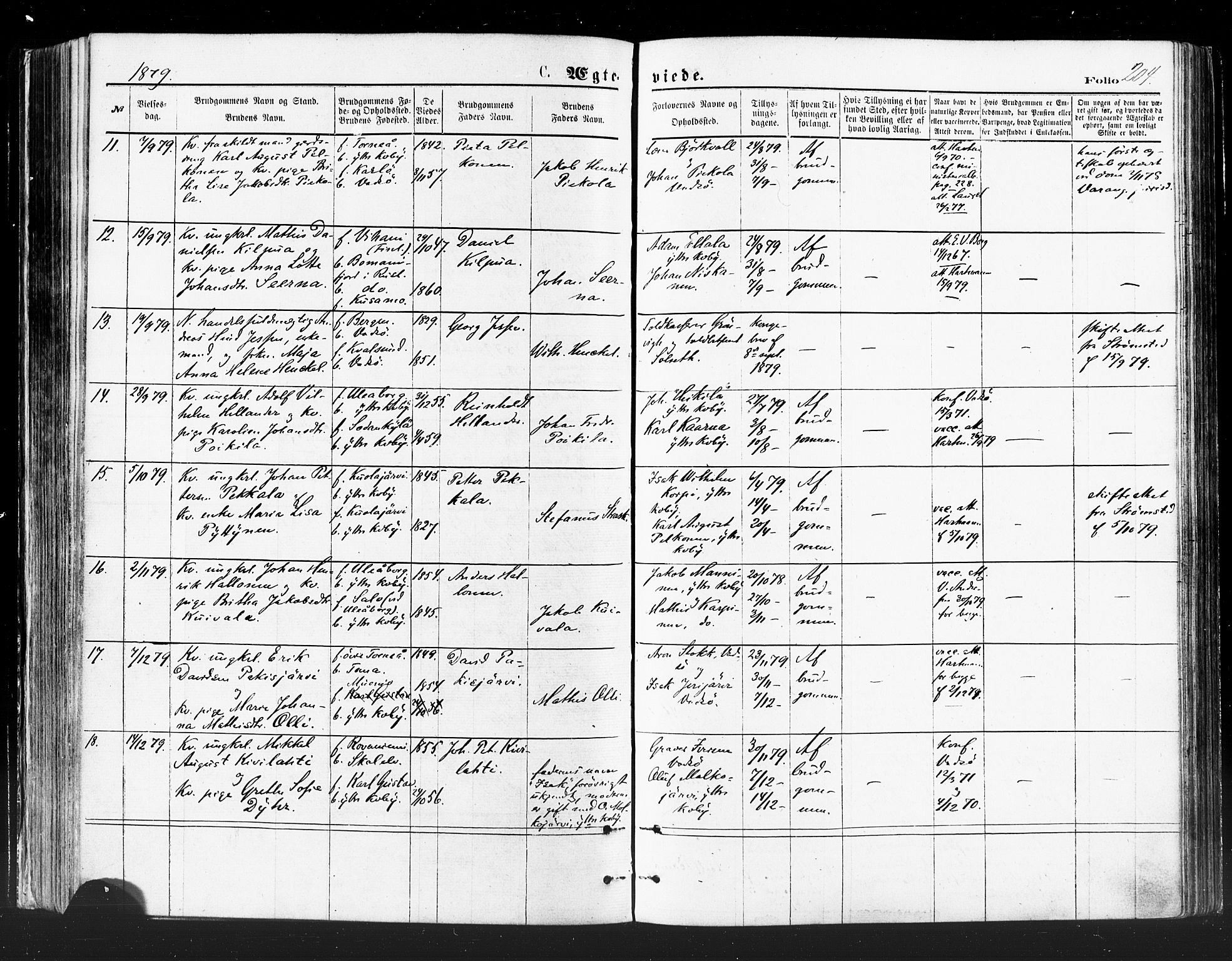 Vadsø sokneprestkontor, SATØ/S-1325/H/Ha/L0005kirke: Parish register (official) no. 5, 1873-1884, p. 204