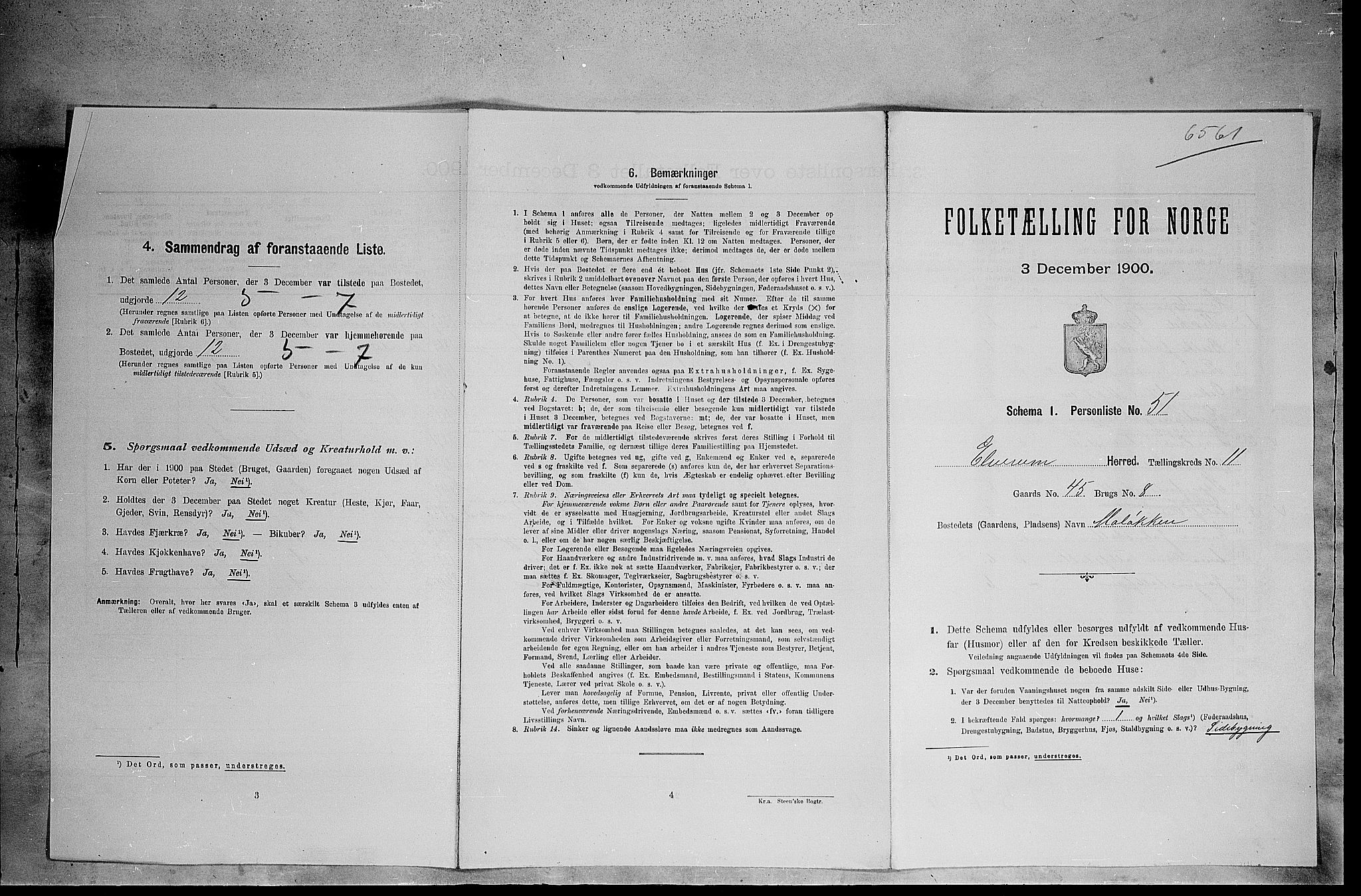 SAH, 1900 census for Elverum, 1900, p. 1493