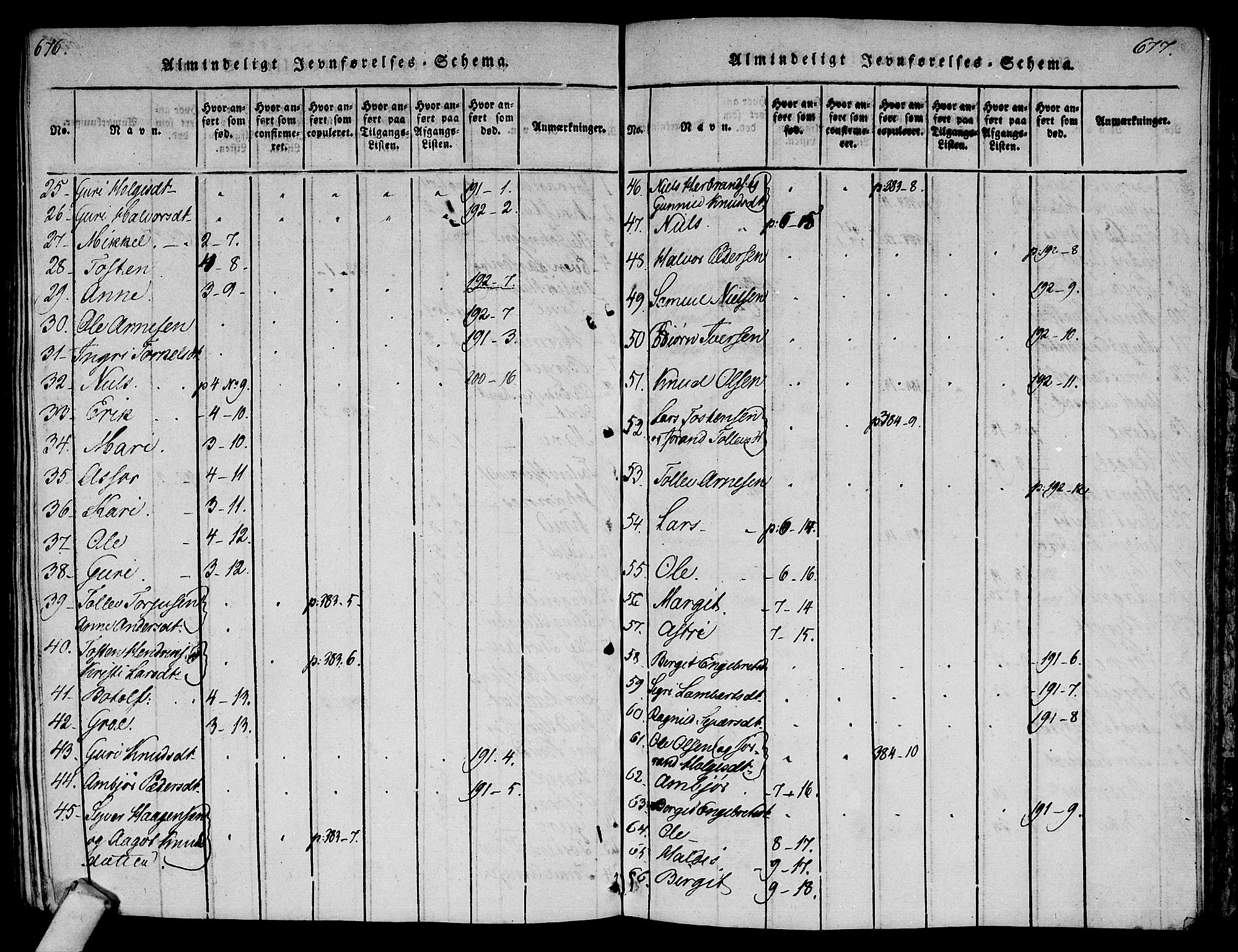 Ål kirkebøker, SAKO/A-249/F/Fa/L0004: Parish register (official) no. I 4, 1815-1825, p. 676-677