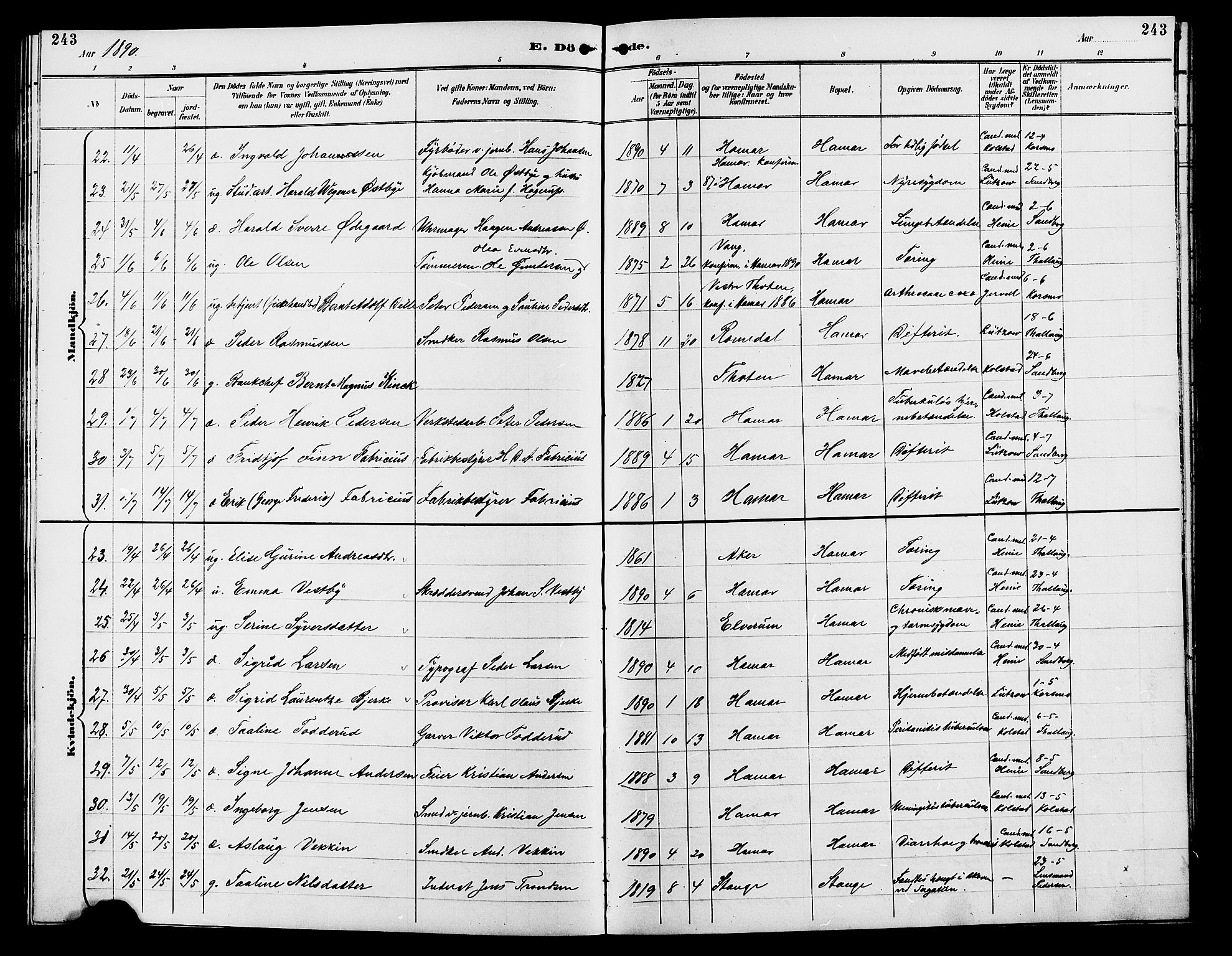 Vang prestekontor, Hedmark, AV/SAH-PREST-008/H/Ha/Hab/L0013: Parish register (copy) no. 13, 1890-1899, p. 243