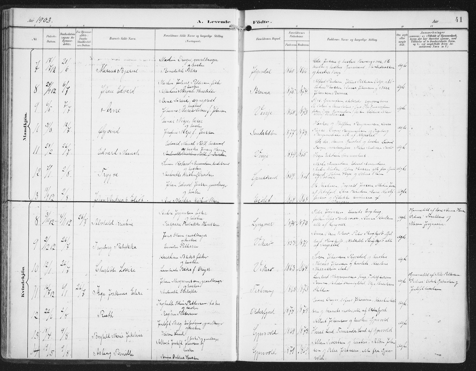 Ministerialprotokoller, klokkerbøker og fødselsregistre - Nordland, AV/SAT-A-1459/876/L1098: Parish register (official) no. 876A04, 1896-1915, p. 41