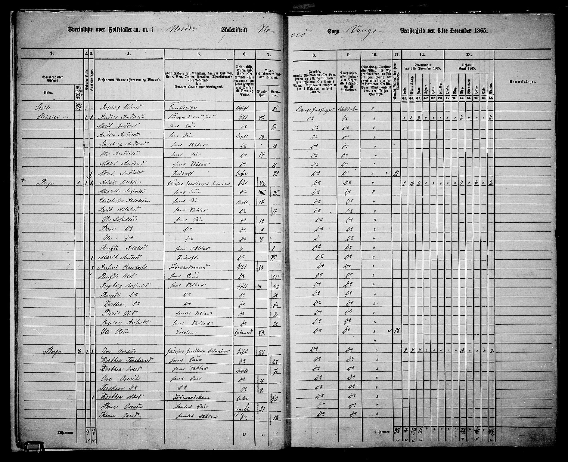 RA, 1865 census for Vang, 1865, p. 12