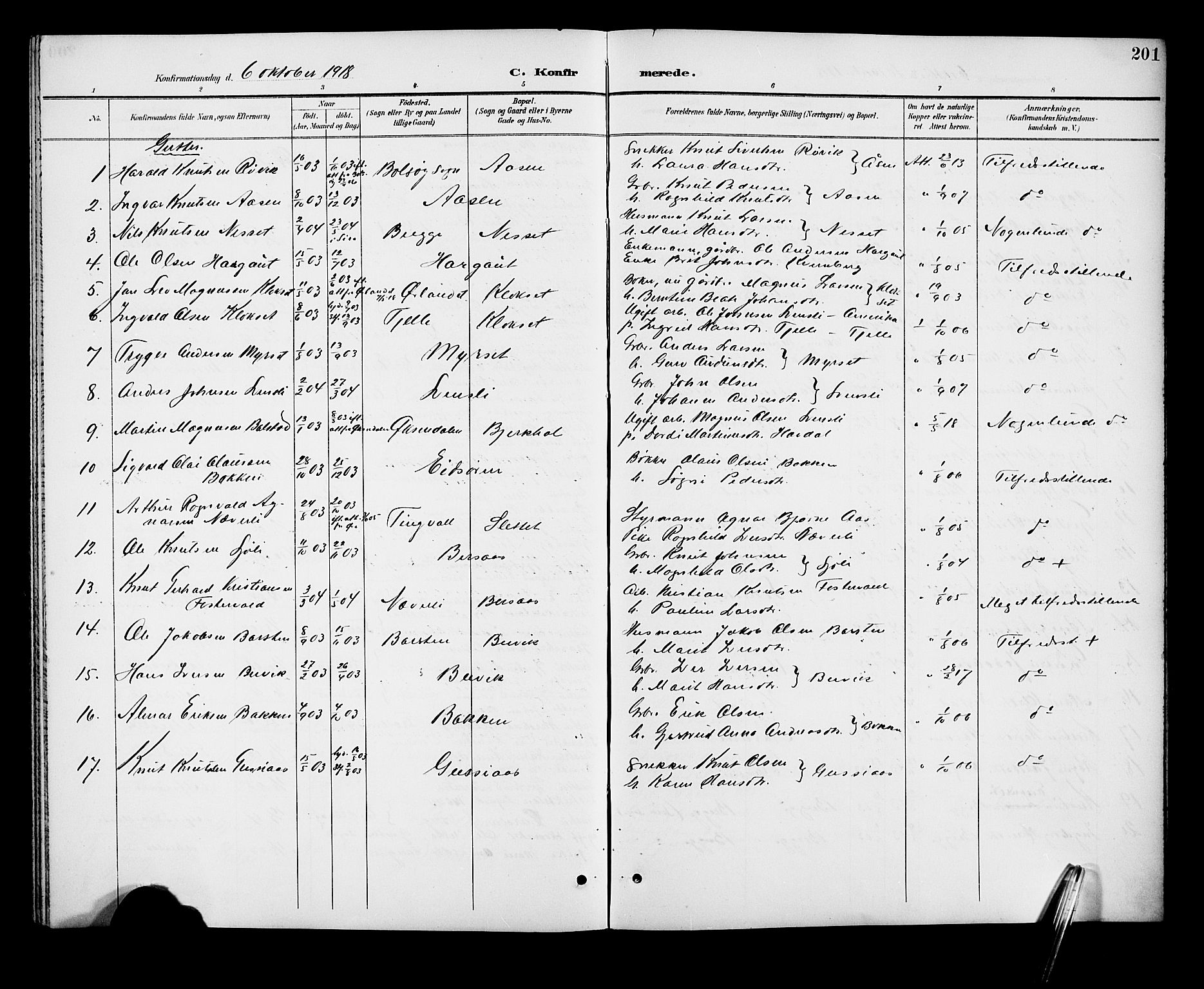 Ministerialprotokoller, klokkerbøker og fødselsregistre - Møre og Romsdal, AV/SAT-A-1454/551/L0632: Parish register (copy) no. 551C04, 1894-1920, p. 201