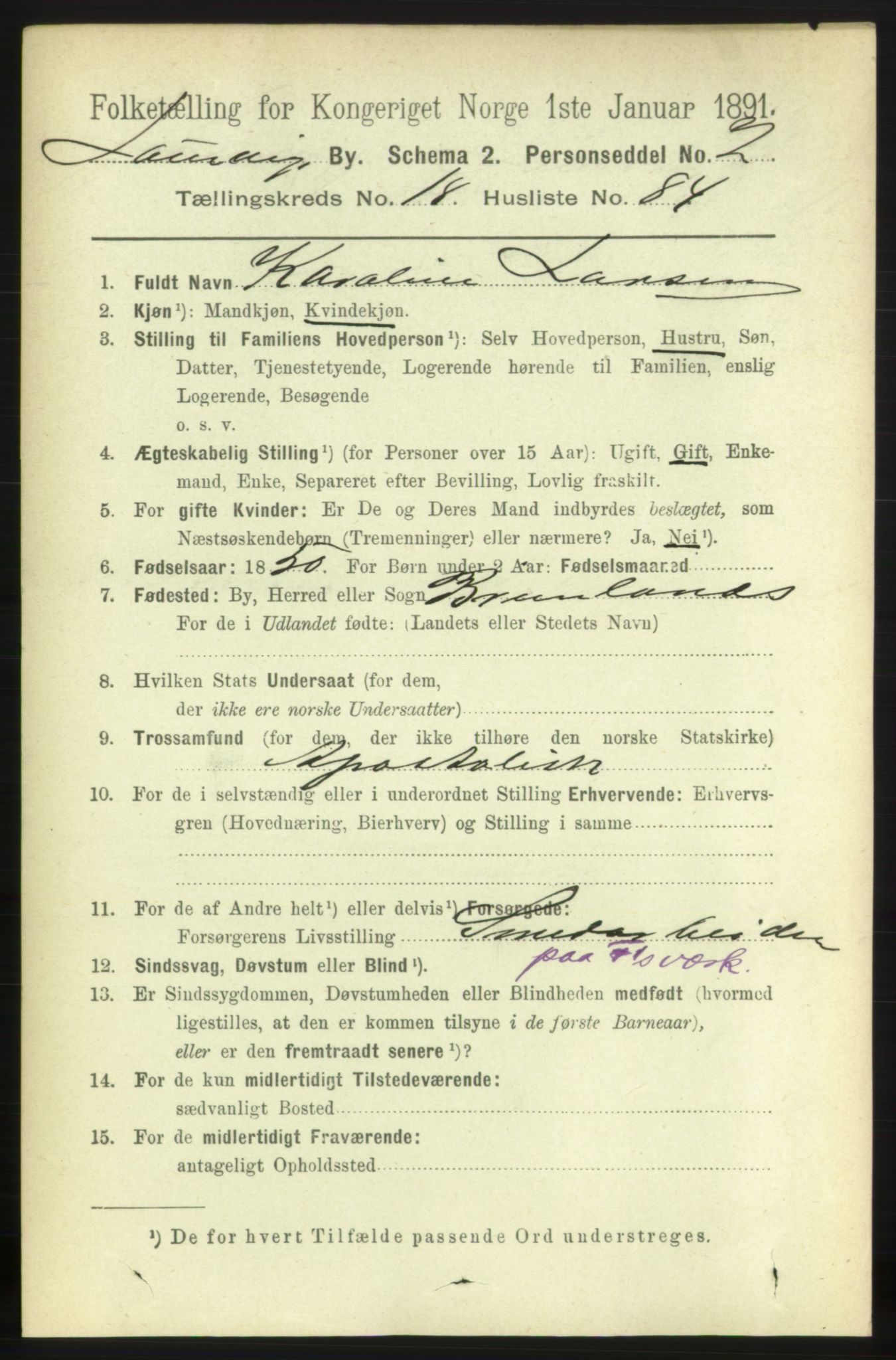 RA, 1891 census for 0707 Larvik, 1891, p. 13937