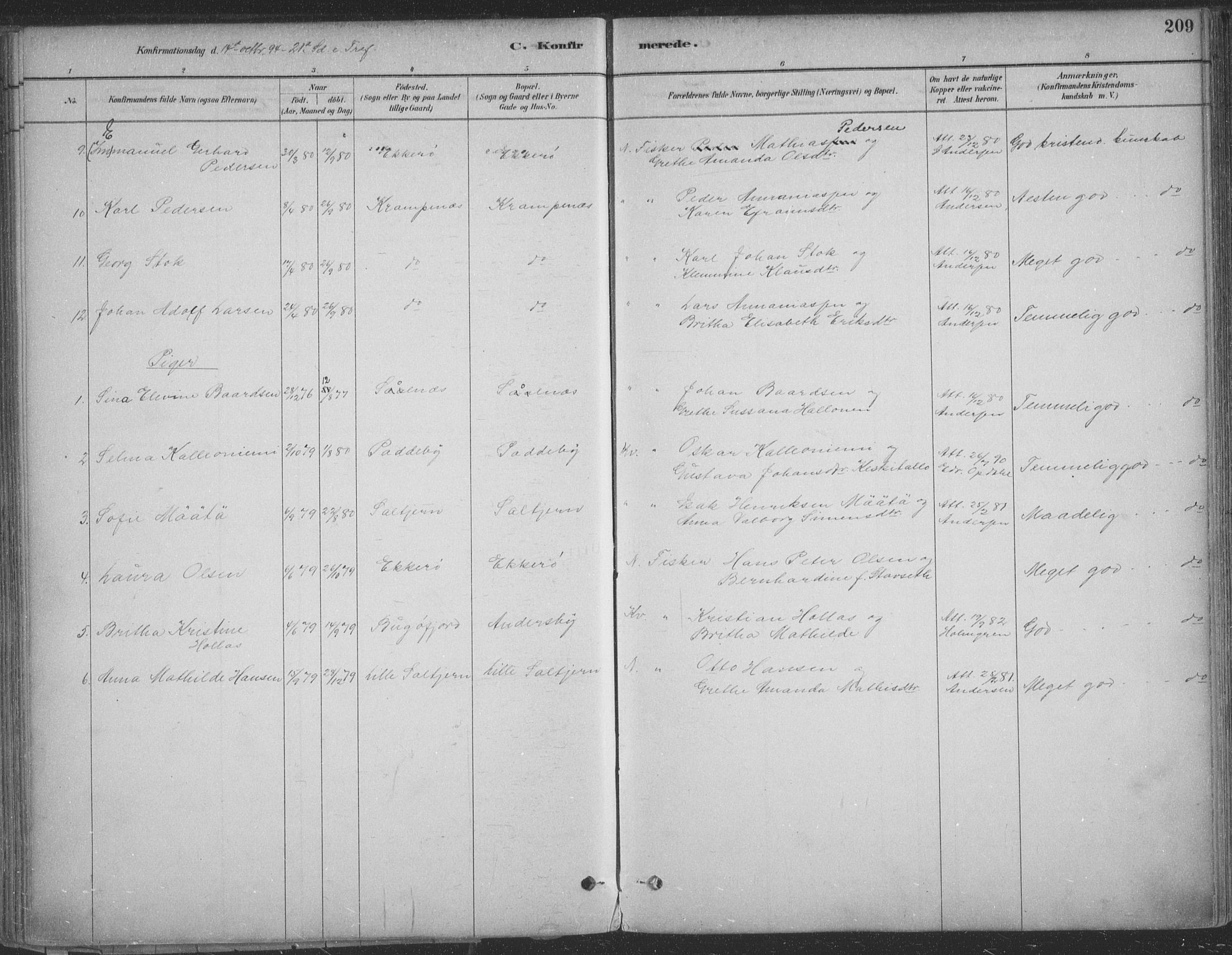 Vadsø sokneprestkontor, SATØ/S-1325/H/Ha/L0009kirke: Parish register (official) no. 9, 1881-1917, p. 209
