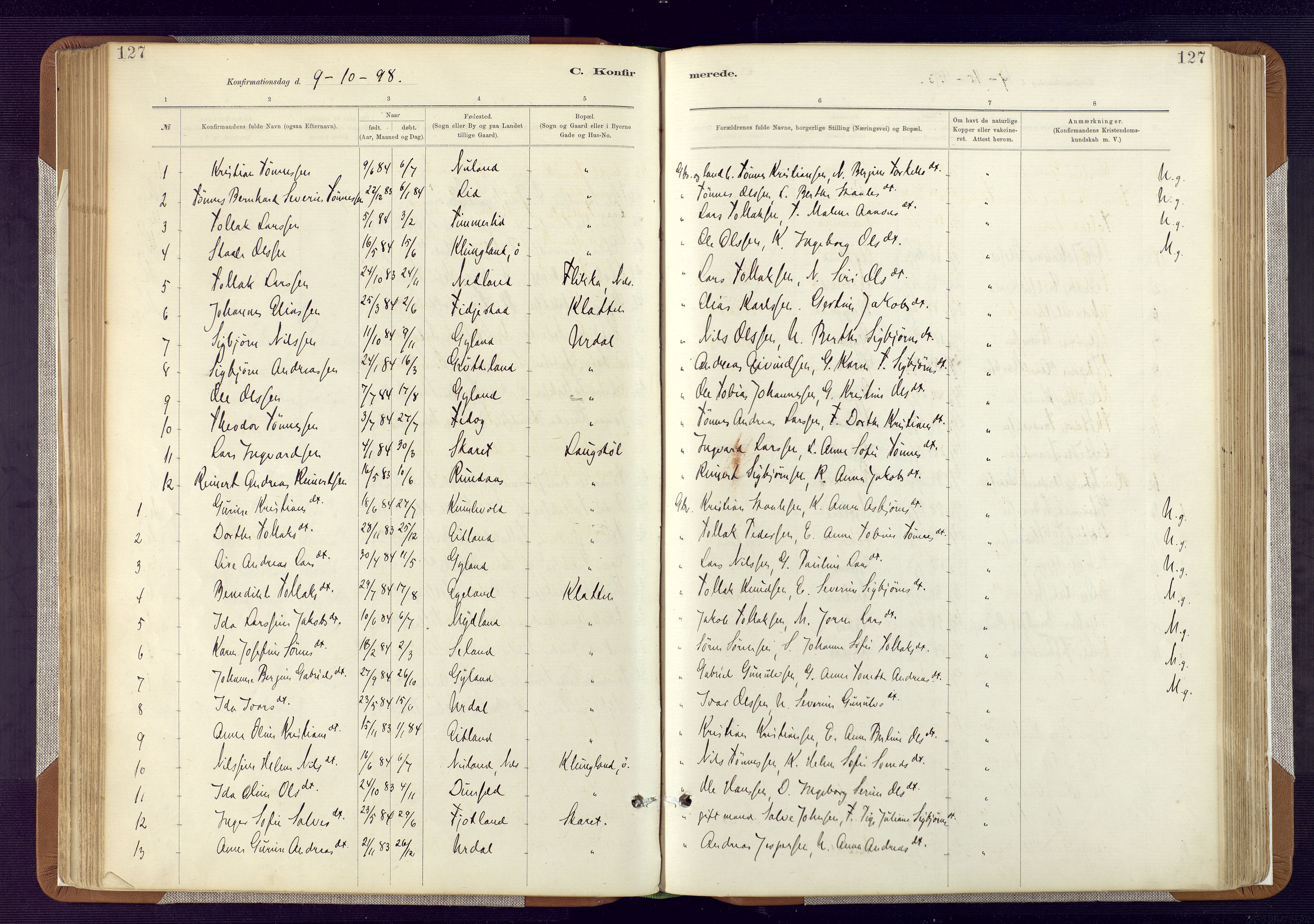 Bakke sokneprestkontor, SAK/1111-0002/F/Fa/Fab/L0003: Parish register (official) no. A 3, 1884-1921, p. 127