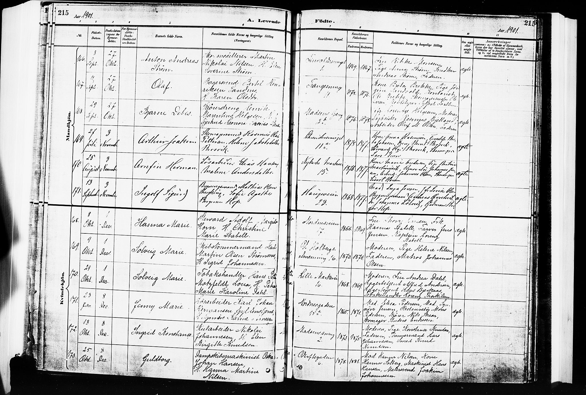 Nykirken Sokneprestembete, SAB/A-77101/H/Hab: Parish register (copy) no. B 4, 1900-1903, p. 215