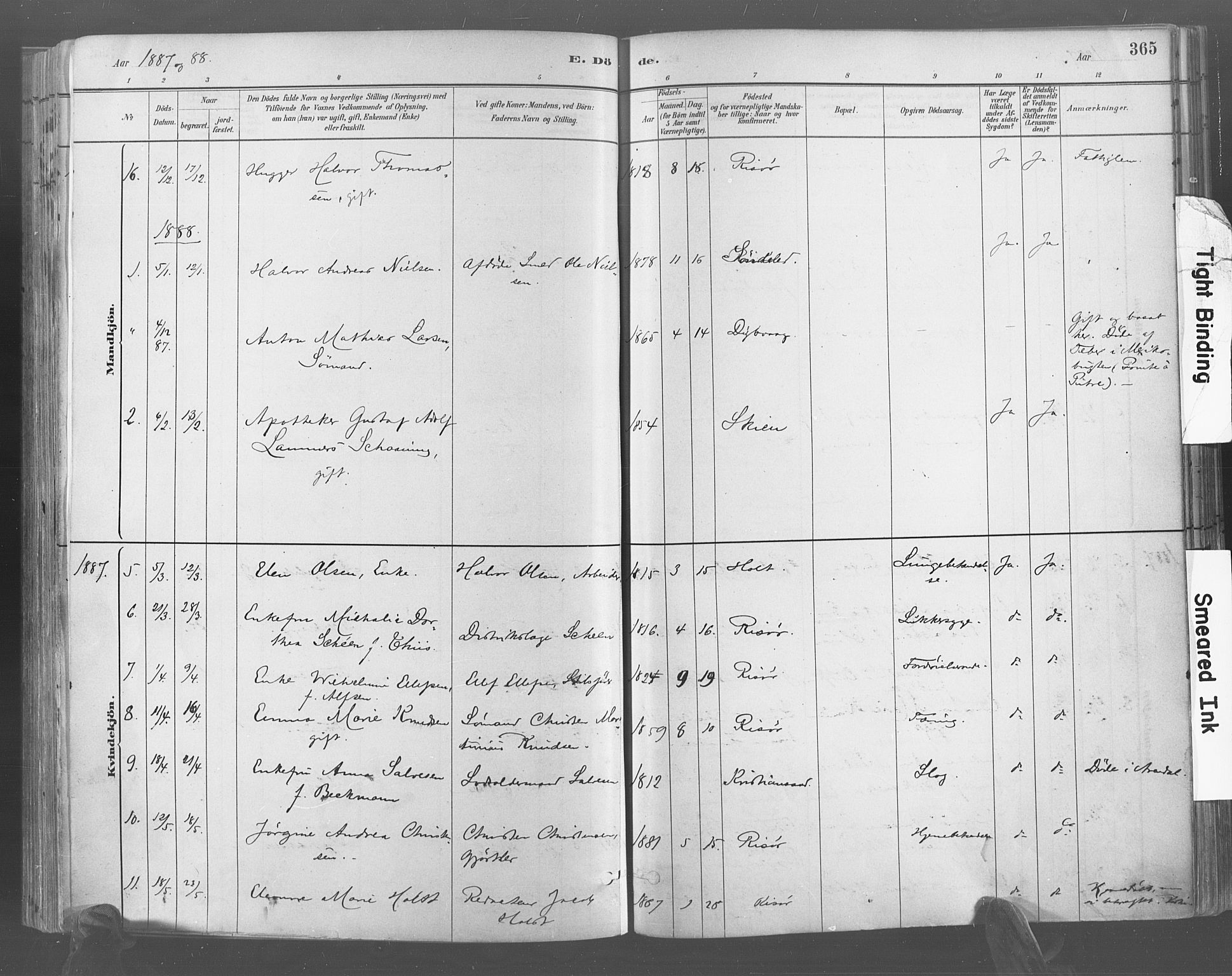 Risør sokneprestkontor, AV/SAK-1111-0035/F/Fa/L0005: Parish register (official) no. A 5, 1883-1895, p. 366