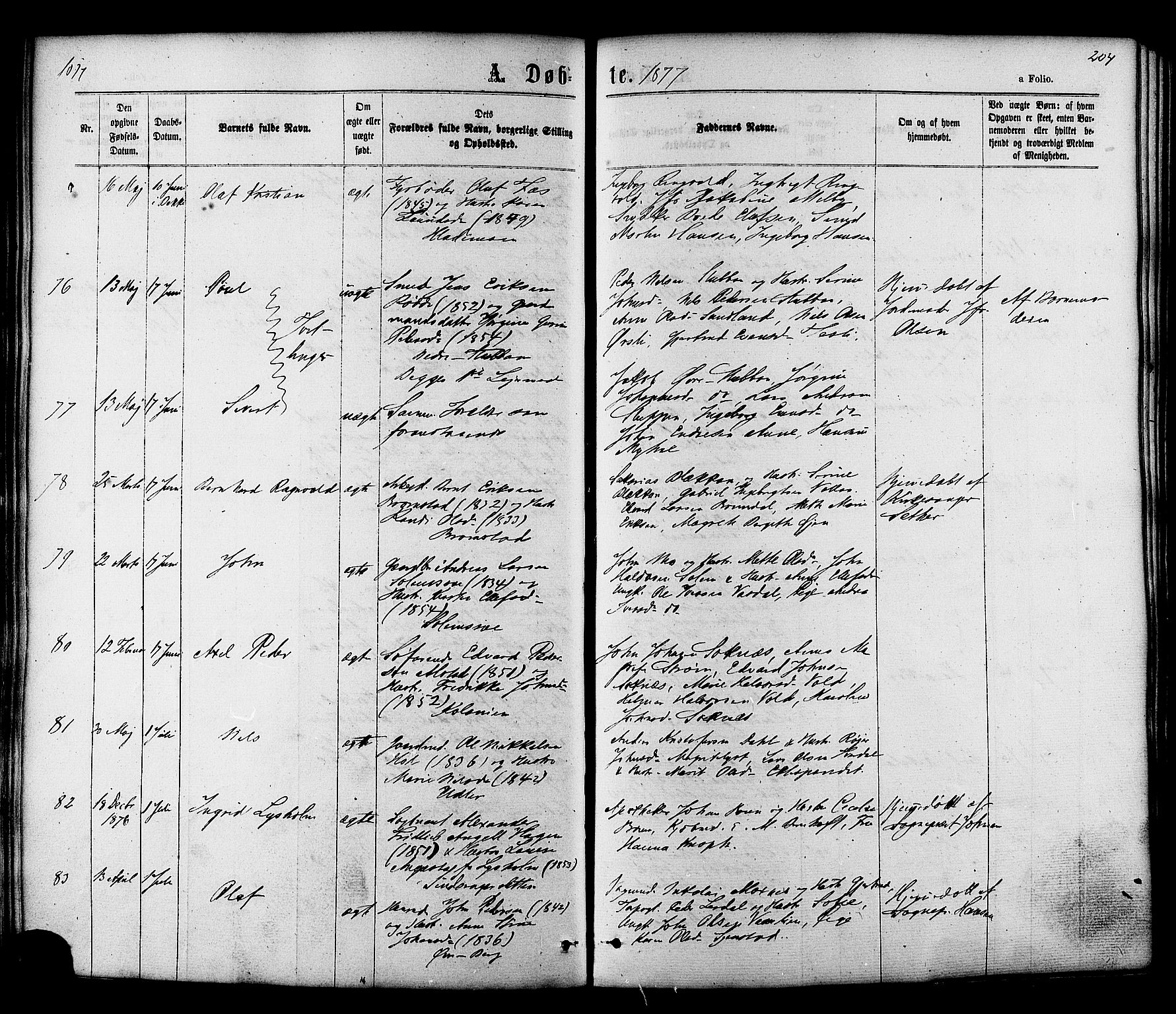 Ministerialprotokoller, klokkerbøker og fødselsregistre - Sør-Trøndelag, AV/SAT-A-1456/606/L0293: Parish register (official) no. 606A08, 1866-1877, p. 204