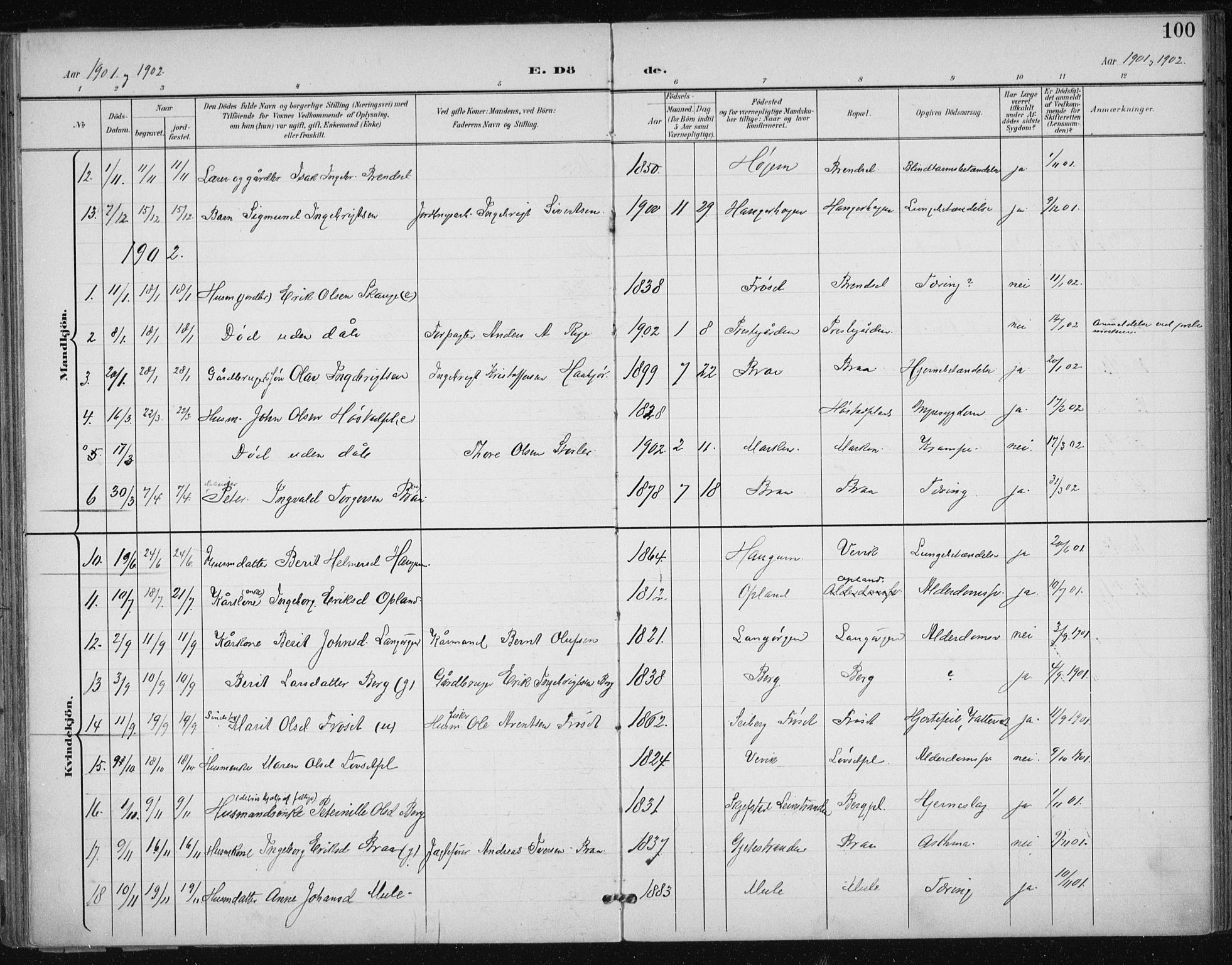 Ministerialprotokoller, klokkerbøker og fødselsregistre - Sør-Trøndelag, AV/SAT-A-1456/612/L0380: Parish register (official) no. 612A12, 1898-1907, p. 100