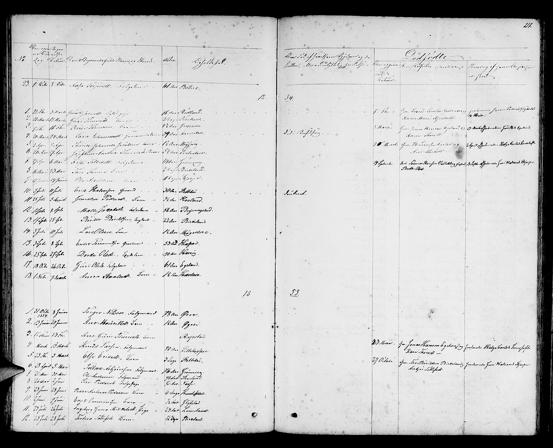 Helleland sokneprestkontor, AV/SAST-A-101810: Parish register (copy) no. B 2, 1848-1886, p. 217