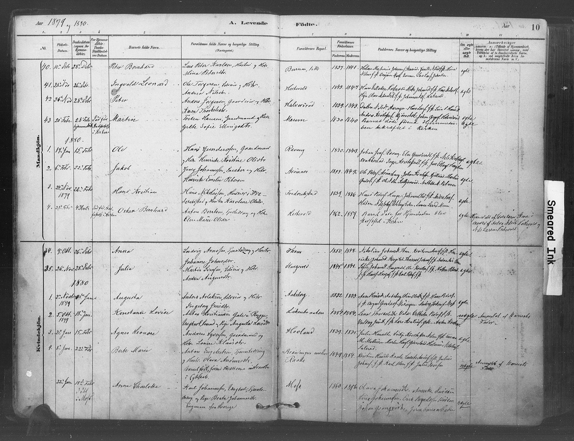 Råde prestekontor kirkebøker, AV/SAO-A-2009/F/Fa/L0007: Parish register (official) no. 7, 1878-1902, p. 10