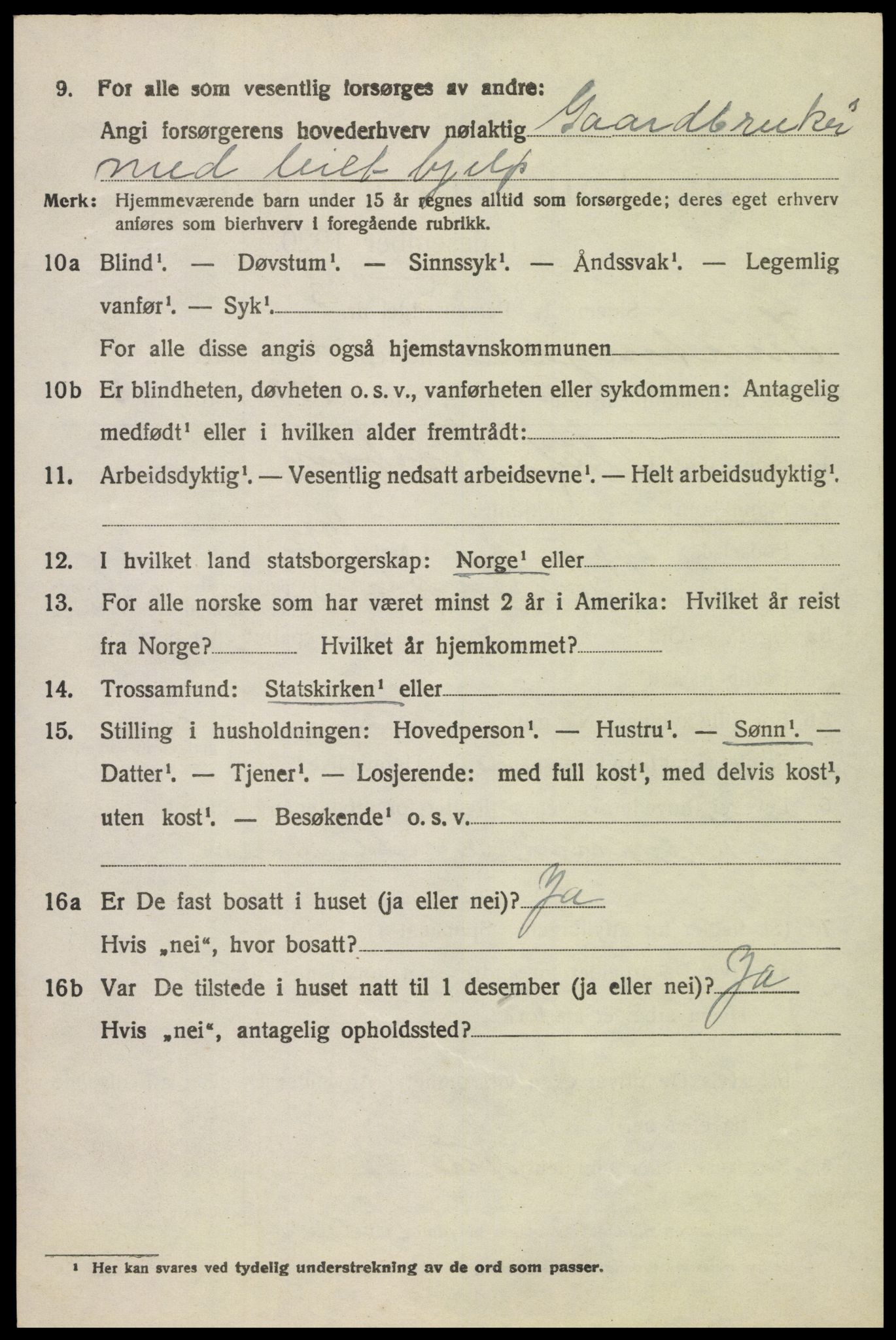 SAH, 1920 census for Snertingdal, 1920, p. 4278