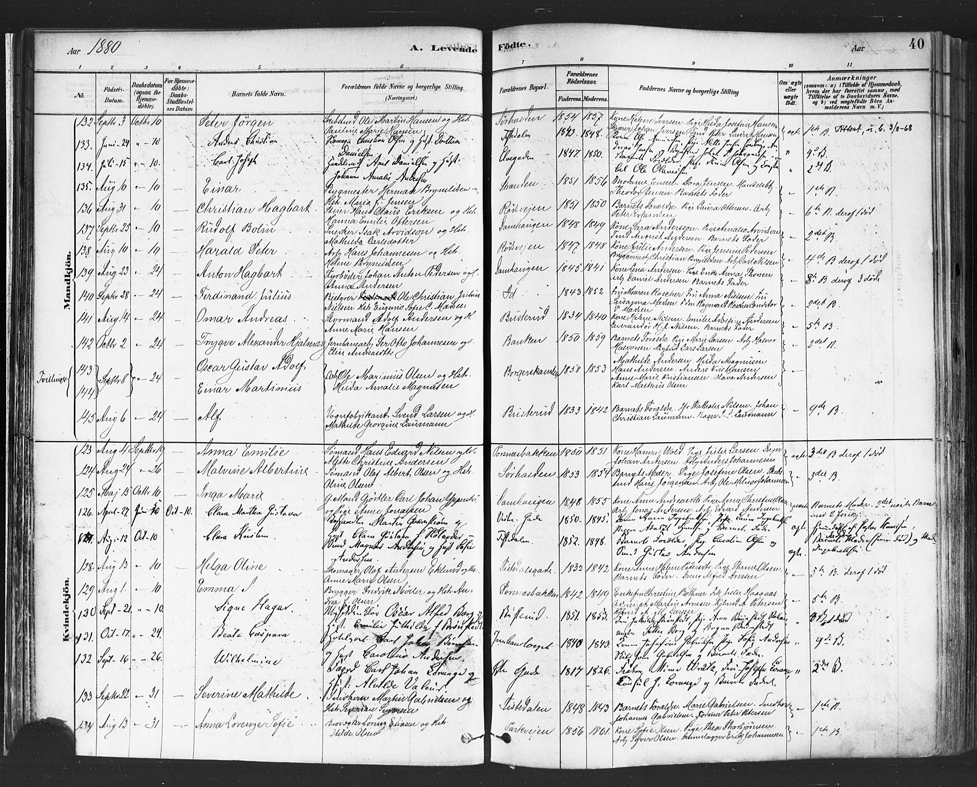 Halden prestekontor Kirkebøker, SAO/A-10909/F/Fa/L0011: Parish register (official) no. I 11, 1878-1889, p. 40
