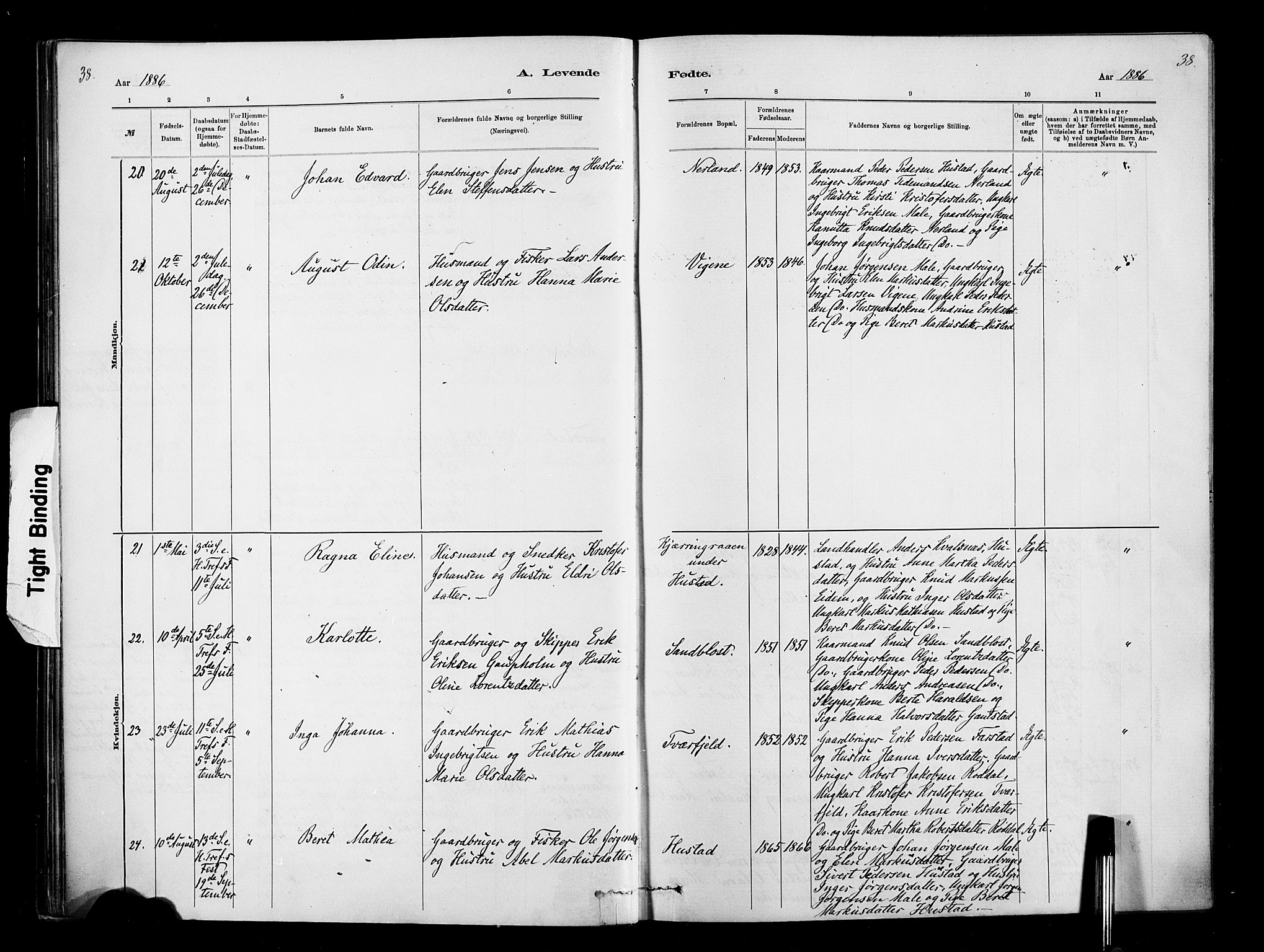 Ministerialprotokoller, klokkerbøker og fødselsregistre - Møre og Romsdal, SAT/A-1454/567/L0778: Parish register (official) no. 567A01, 1881-1903, p. 38