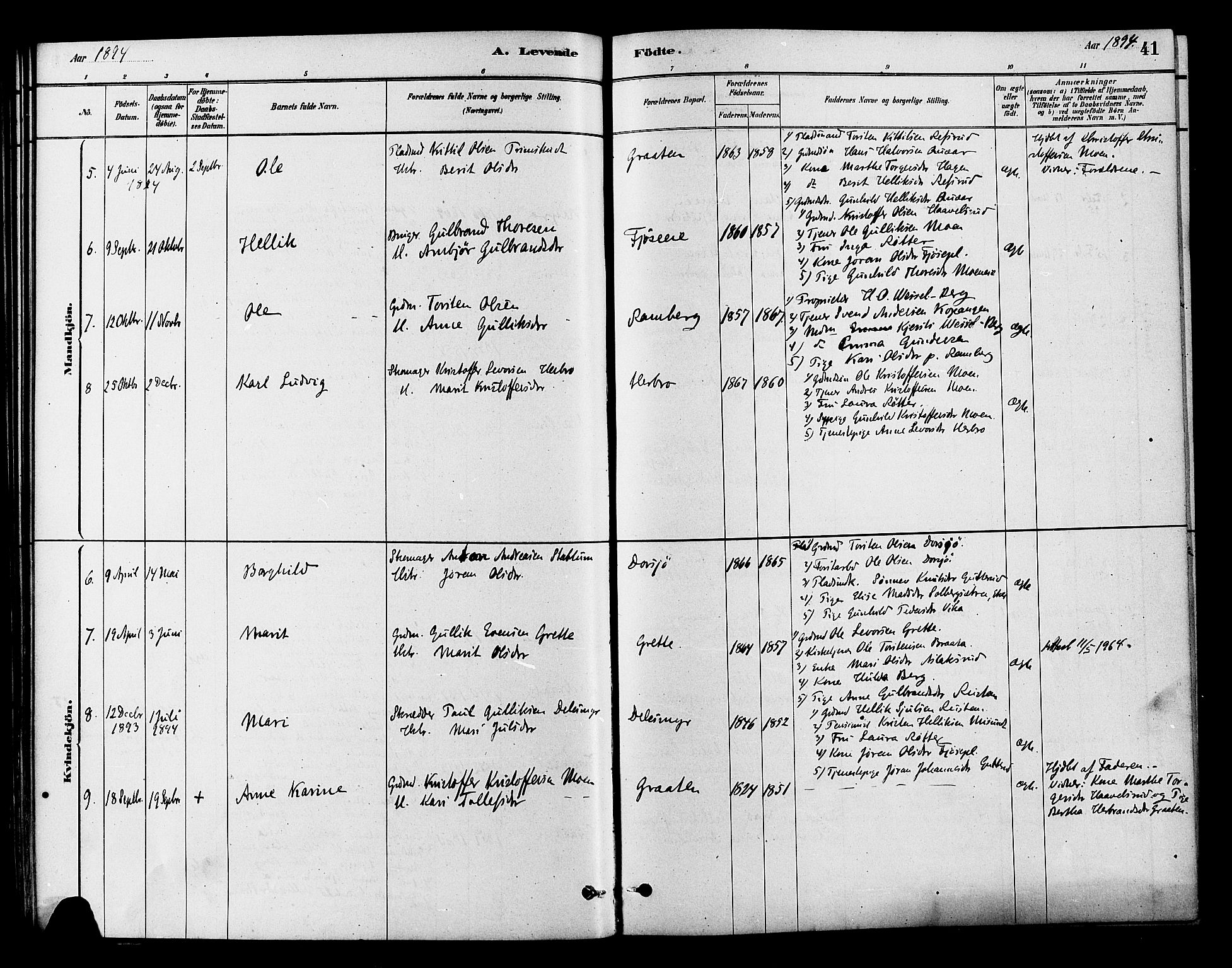 Flesberg kirkebøker, AV/SAKO-A-18/F/Fb/L0001: Parish register (official) no. II 1, 1879-1907, p. 41