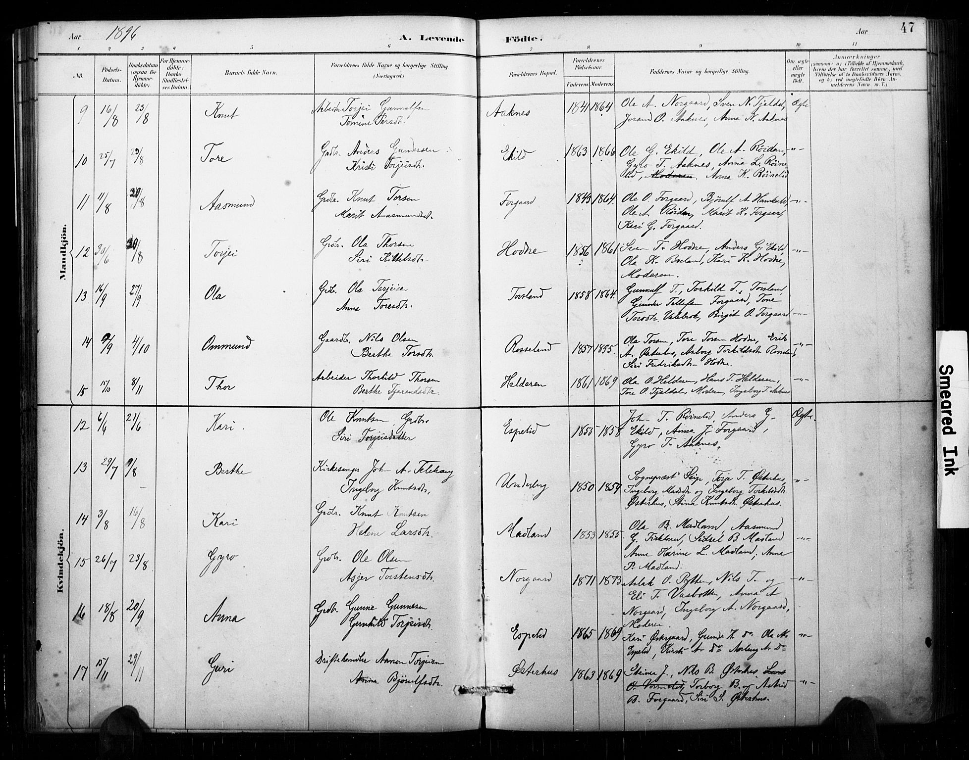 Åseral sokneprestkontor, AV/SAK-1111-0051/F/Fa/L0003: Parish register (official) no. A 3, 1884-1901, p. 47