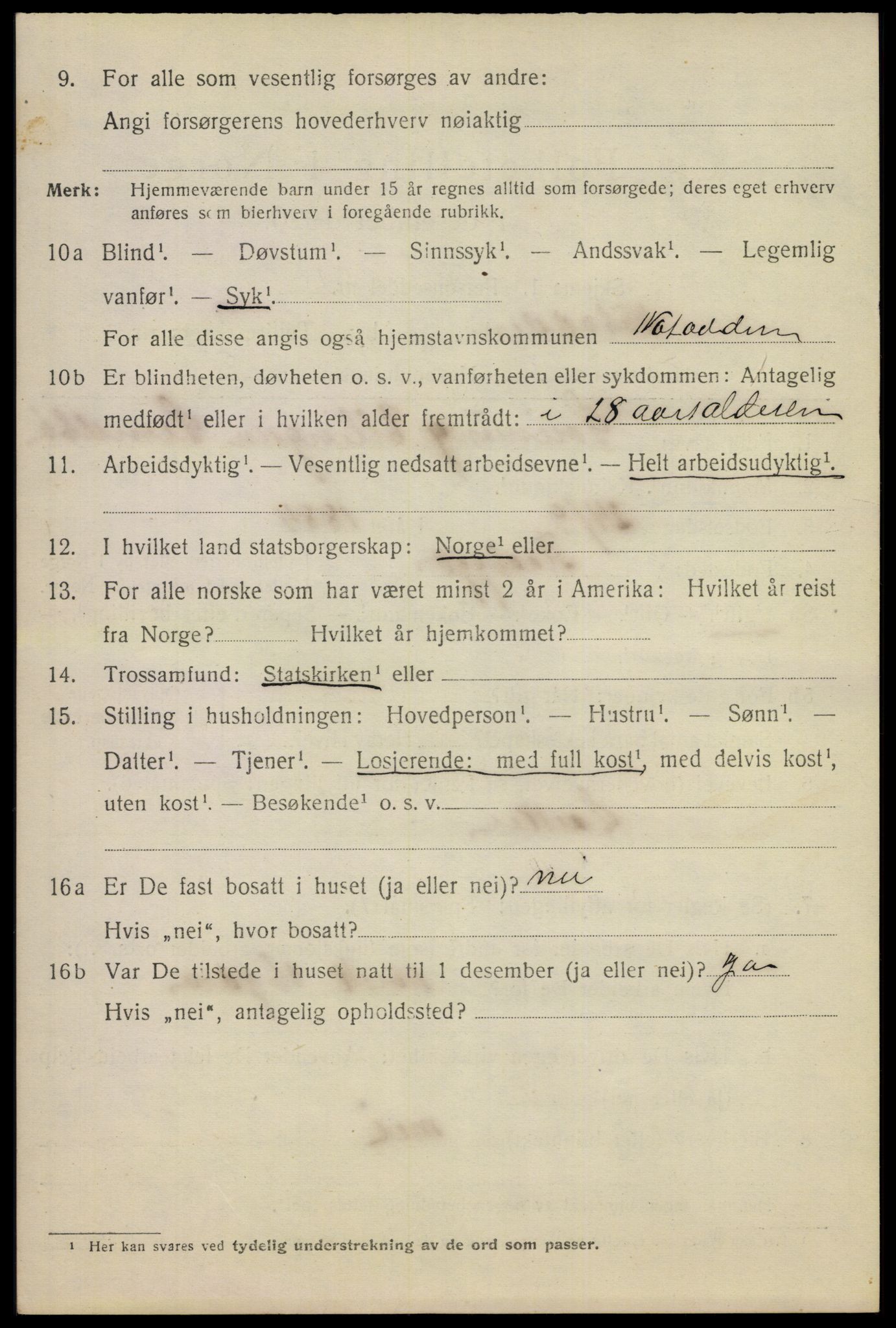 SAKO, 1920 census for Notodden, 1920, p. 8313