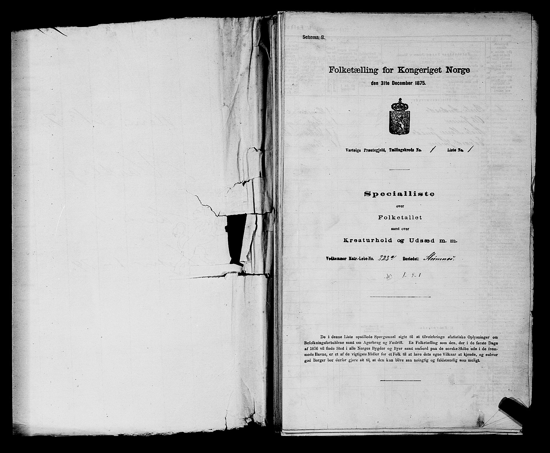 RA, 1875 census for 0114P Varteig, 1875, p. 17