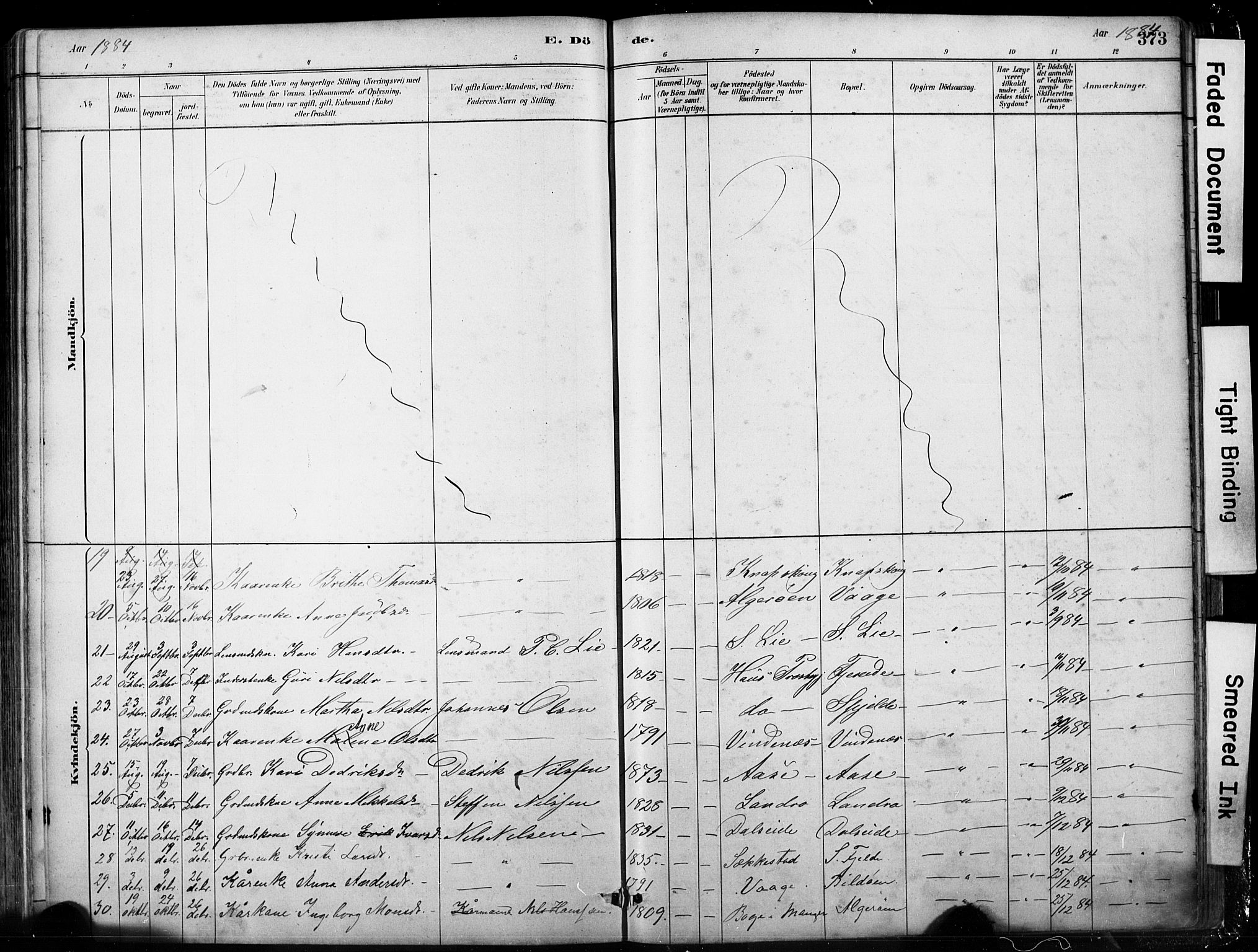 Fjell sokneprestembete, AV/SAB-A-75301/H/Hab: Parish register (copy) no. A 4, 1880-1899, p. 373