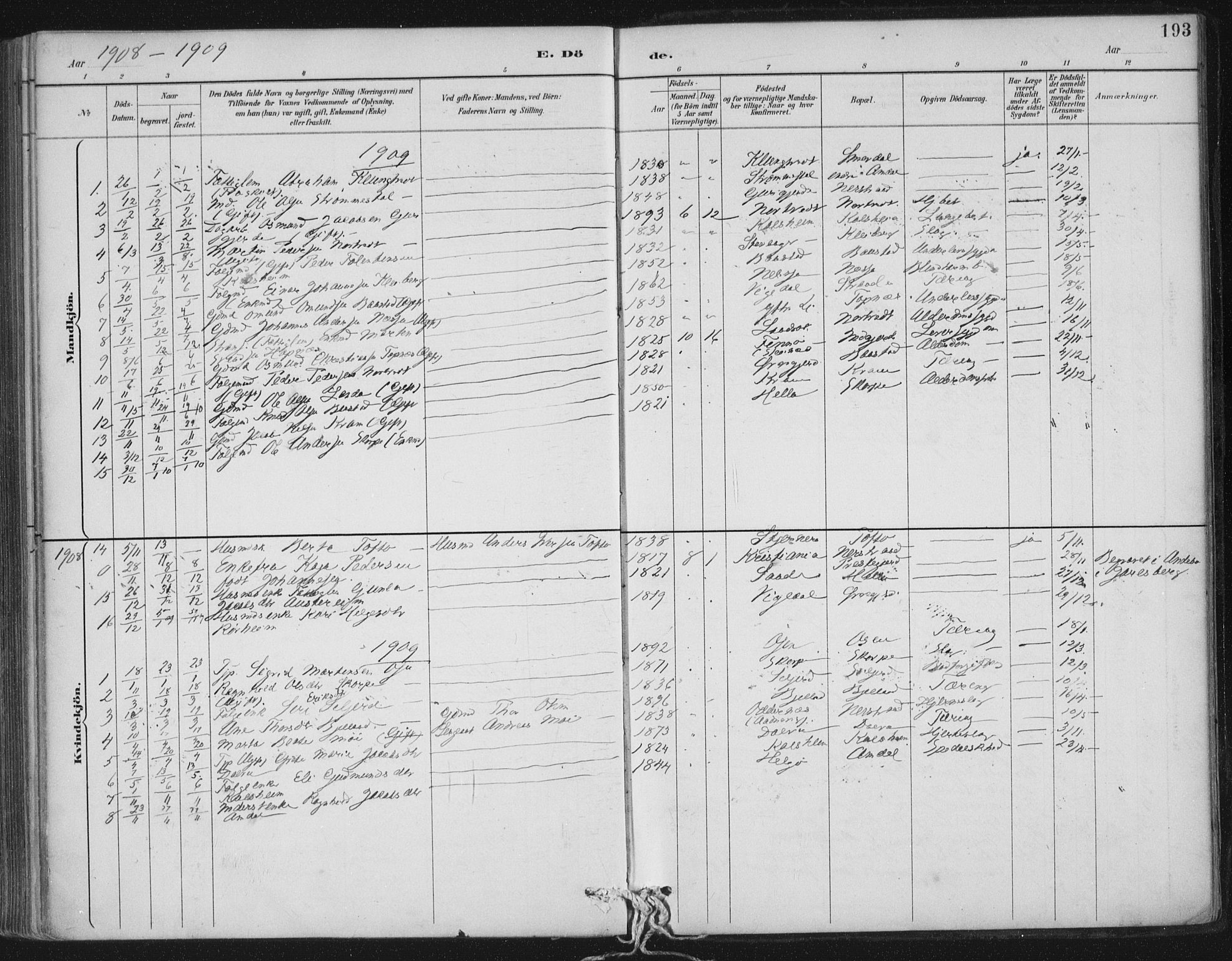 Nedstrand sokneprestkontor, AV/SAST-A-101841/01/IV: Parish register (official) no. A 12, 1887-1915, p. 193