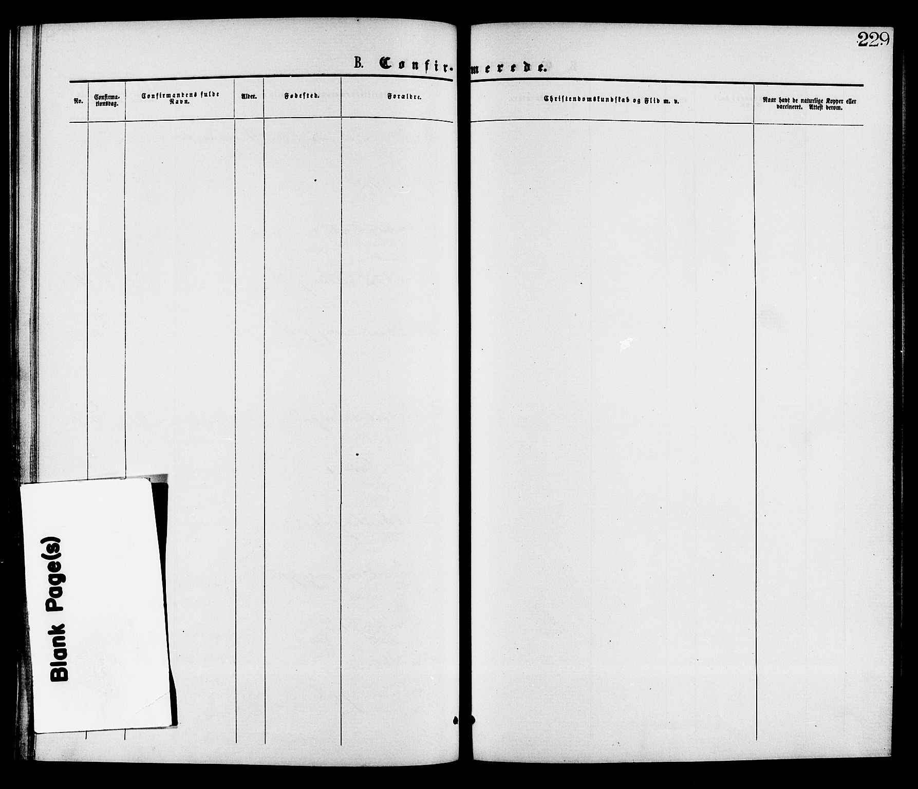 Gransherad kirkebøker, SAKO/A-267/F/Fa/L0004: Parish register (official) no. I 4, 1871-1886, p. 229