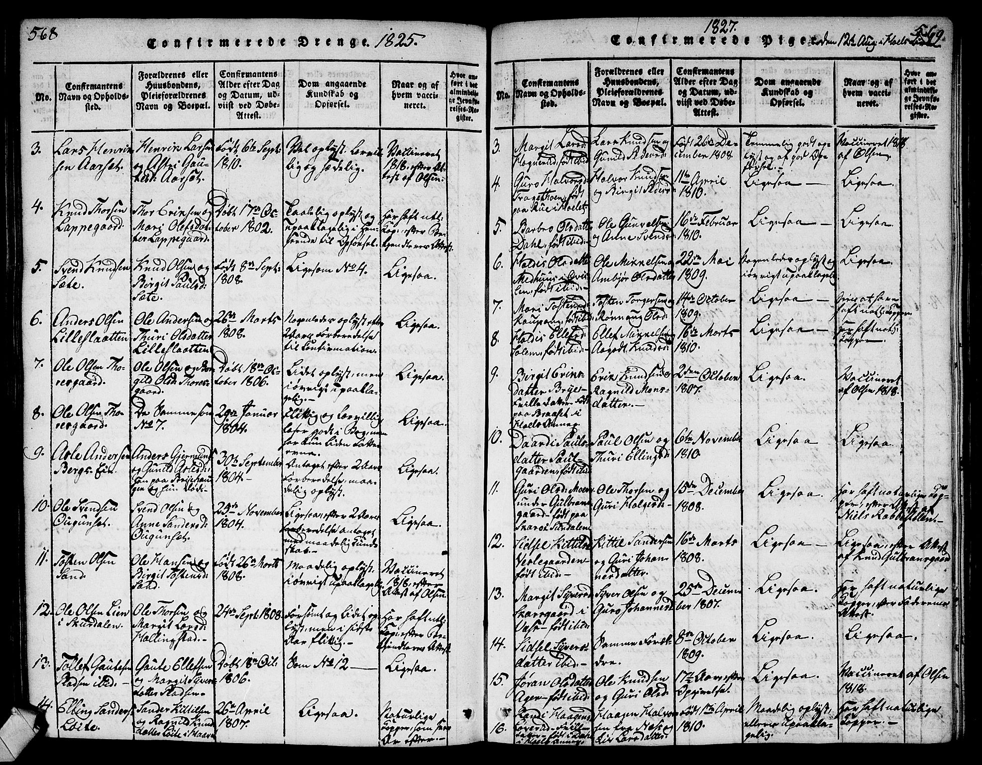 Ål kirkebøker, AV/SAKO-A-249/G/Ga/L0001: Parish register (copy) no. 1, 1815-1829, p. 568-569