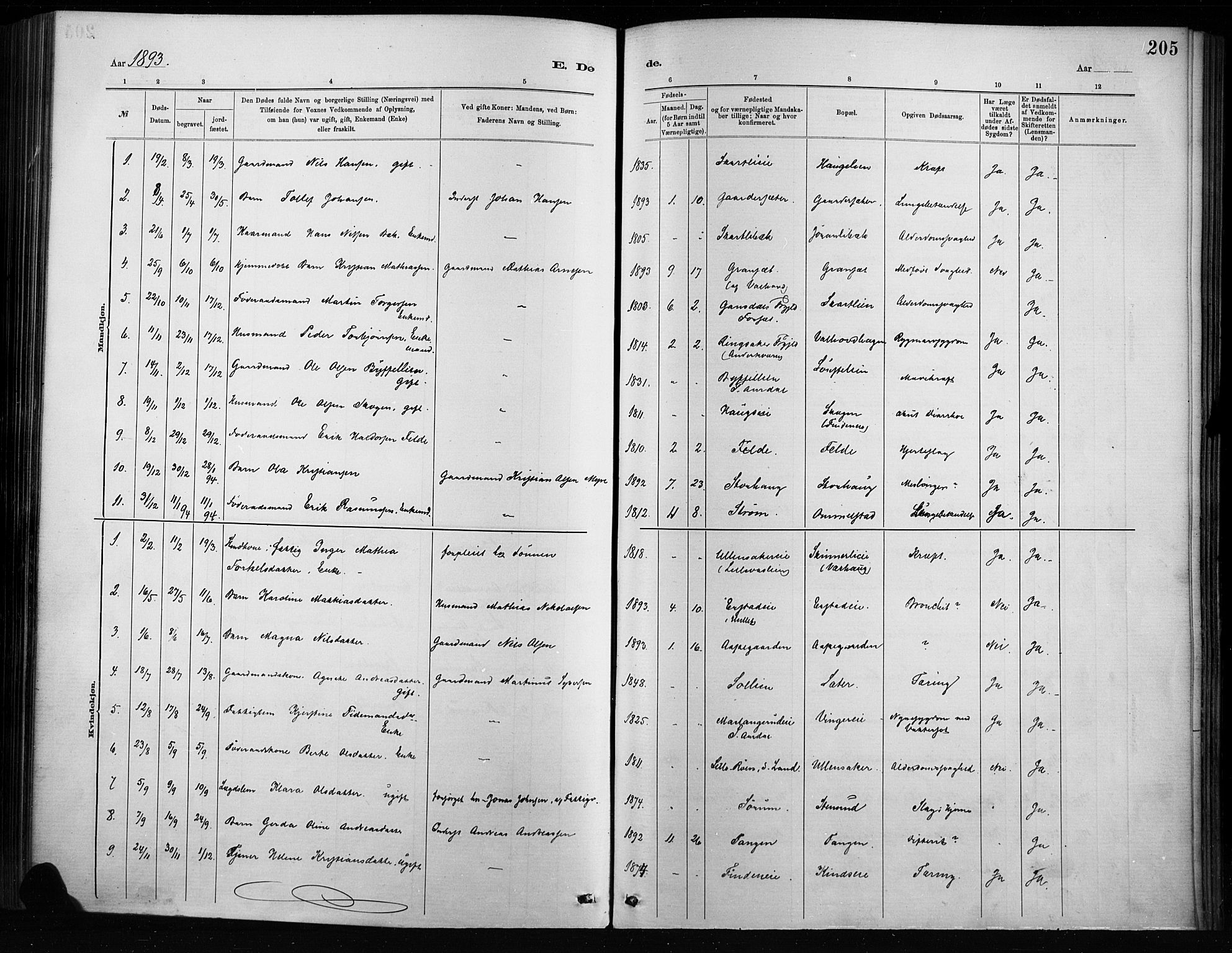 Nordre Land prestekontor, SAH/PREST-124/H/Ha/Haa/L0004: Parish register (official) no. 4, 1882-1896, p. 205