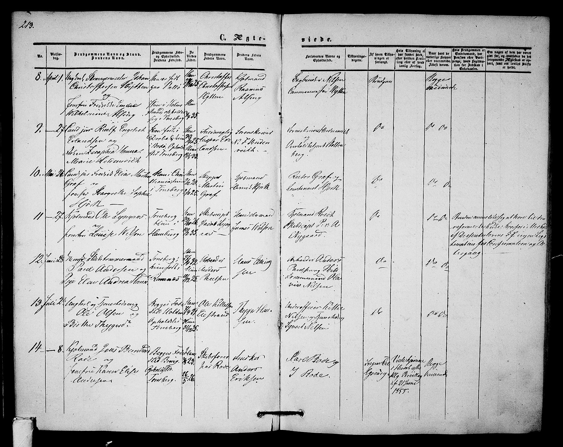 Tønsberg kirkebøker, AV/SAKO-A-330/G/Ga/L0003: Parish register (copy) no. 3, 1855-1864, p. 213