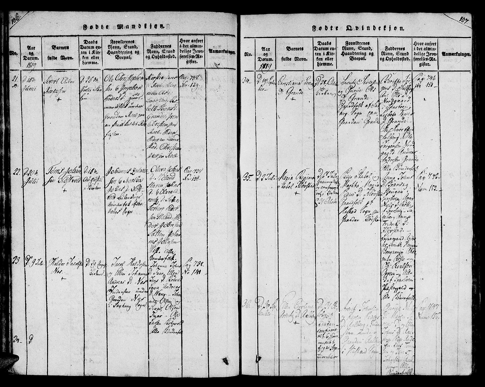 Ministerialprotokoller, klokkerbøker og fødselsregistre - Nord-Trøndelag, AV/SAT-A-1458/730/L0275: Parish register (official) no. 730A04, 1816-1822, p. 106-107