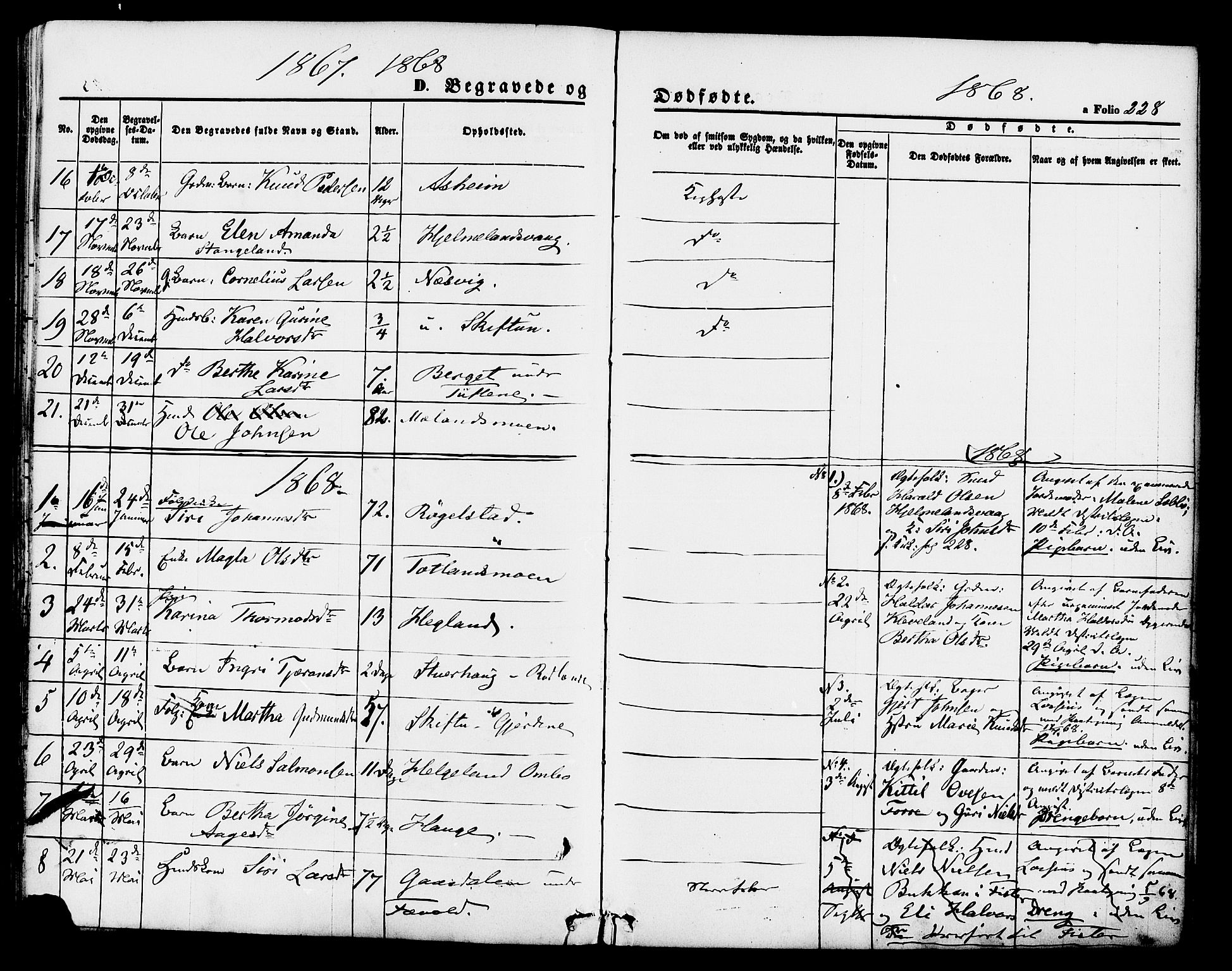 Hjelmeland sokneprestkontor, SAST/A-101843/01/IV/L0011: Parish register (official) no. A 11, 1861-1878, p. 228