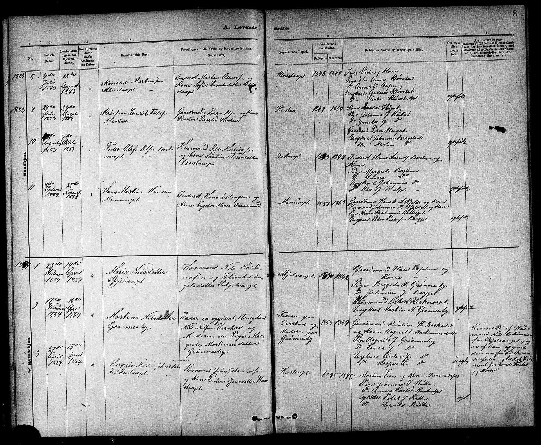 Ministerialprotokoller, klokkerbøker og fødselsregistre - Nord-Trøndelag, AV/SAT-A-1458/732/L0318: Parish register (copy) no. 732C02, 1881-1911, p. 8