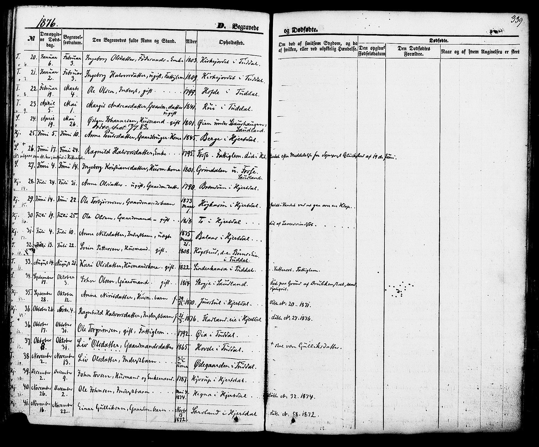 Hjartdal kirkebøker, SAKO/A-270/F/Fa/L0009: Parish register (official) no. I 9, 1860-1879, p. 339