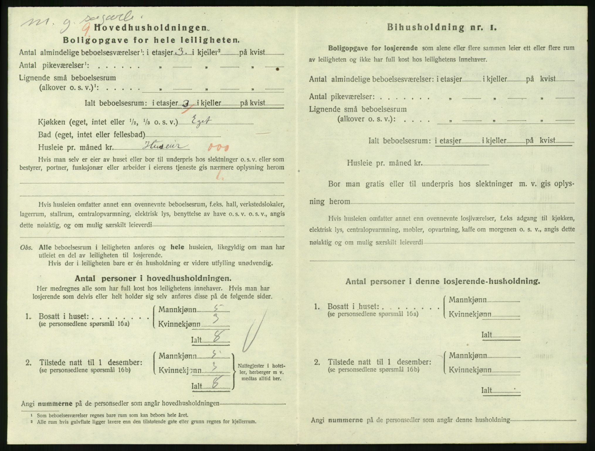 SAKO, 1920 census for Larvik, 1920, p. 3971