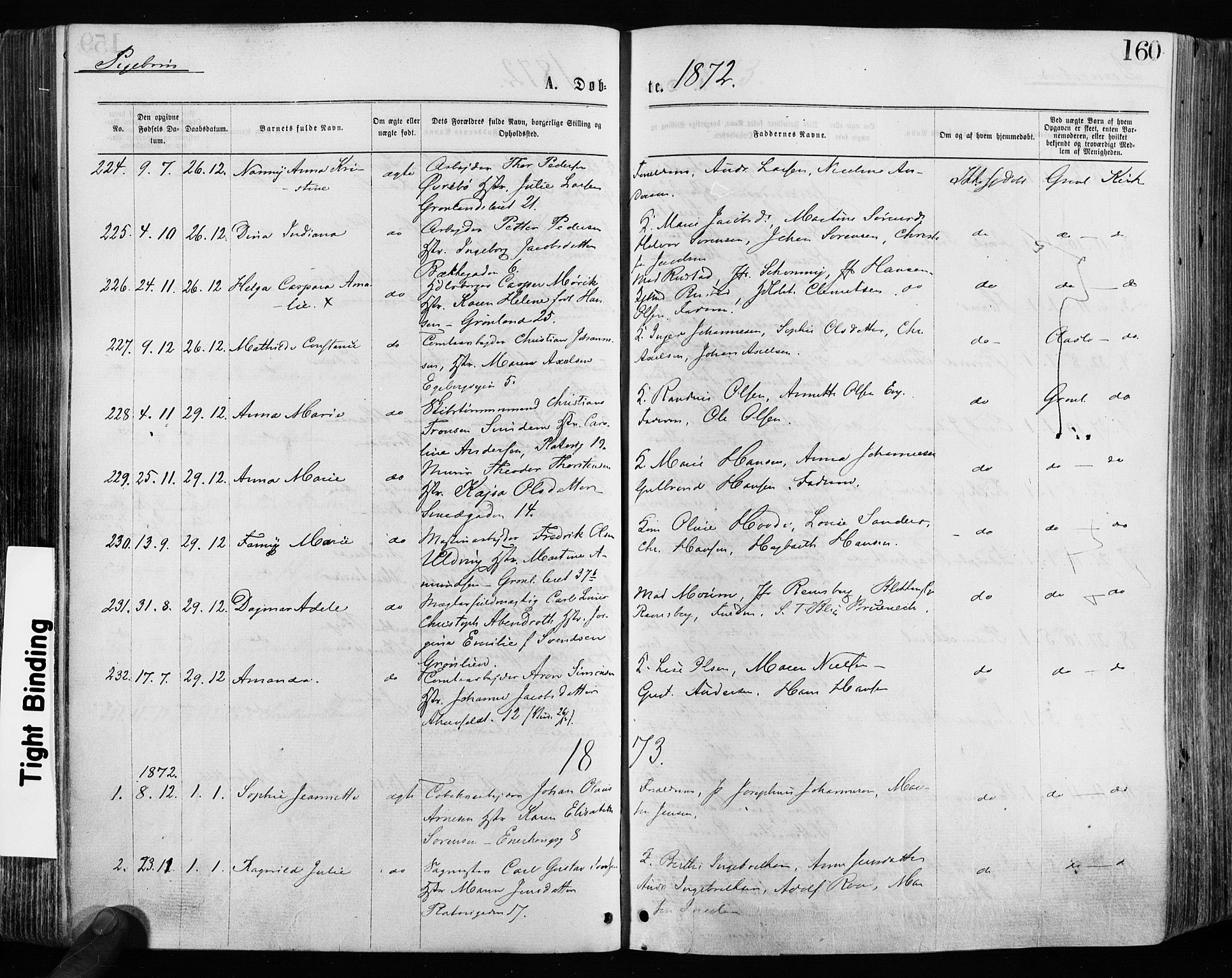 Grønland prestekontor Kirkebøker, AV/SAO-A-10848/F/Fa/L0004: Parish register (official) no. 4, 1869-1880, p. 160