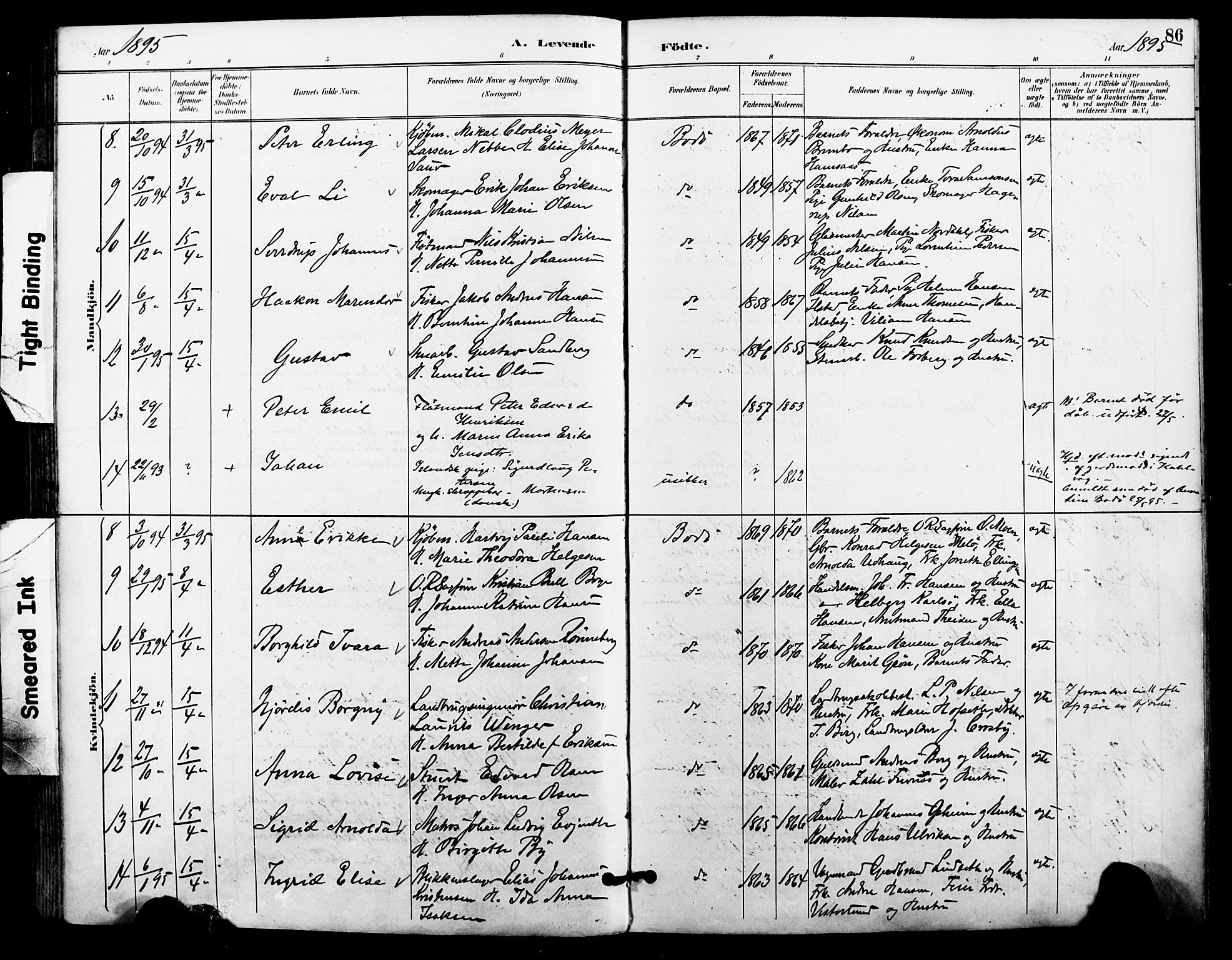 Ministerialprotokoller, klokkerbøker og fødselsregistre - Nordland, AV/SAT-A-1459/801/L0010: Parish register (official) no. 801A10, 1888-1899, p. 86