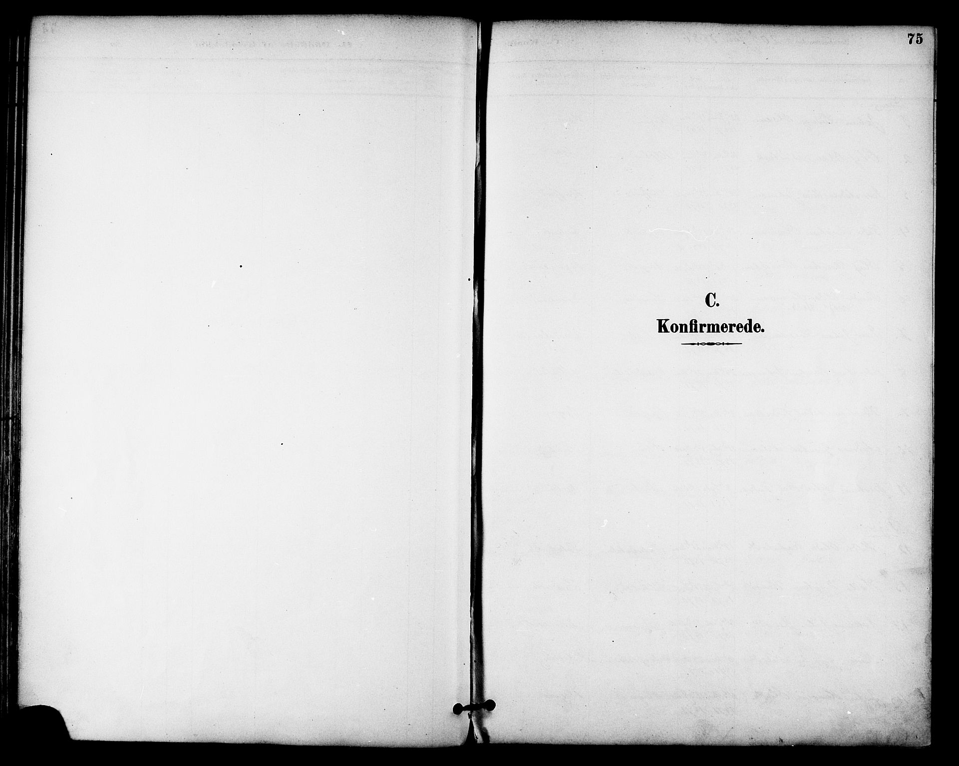 Ministerialprotokoller, klokkerbøker og fødselsregistre - Nordland, SAT/A-1459/814/L0226: Parish register (official) no. 814A07, 1886-1898, p. 75