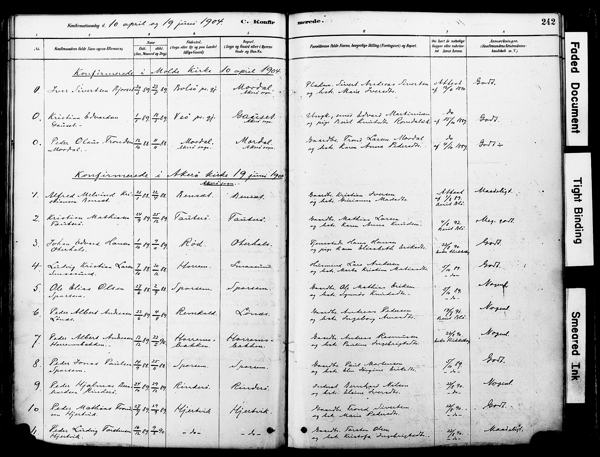 Ministerialprotokoller, klokkerbøker og fødselsregistre - Møre og Romsdal, SAT/A-1454/560/L0721: Parish register (official) no. 560A05, 1878-1917, p. 242